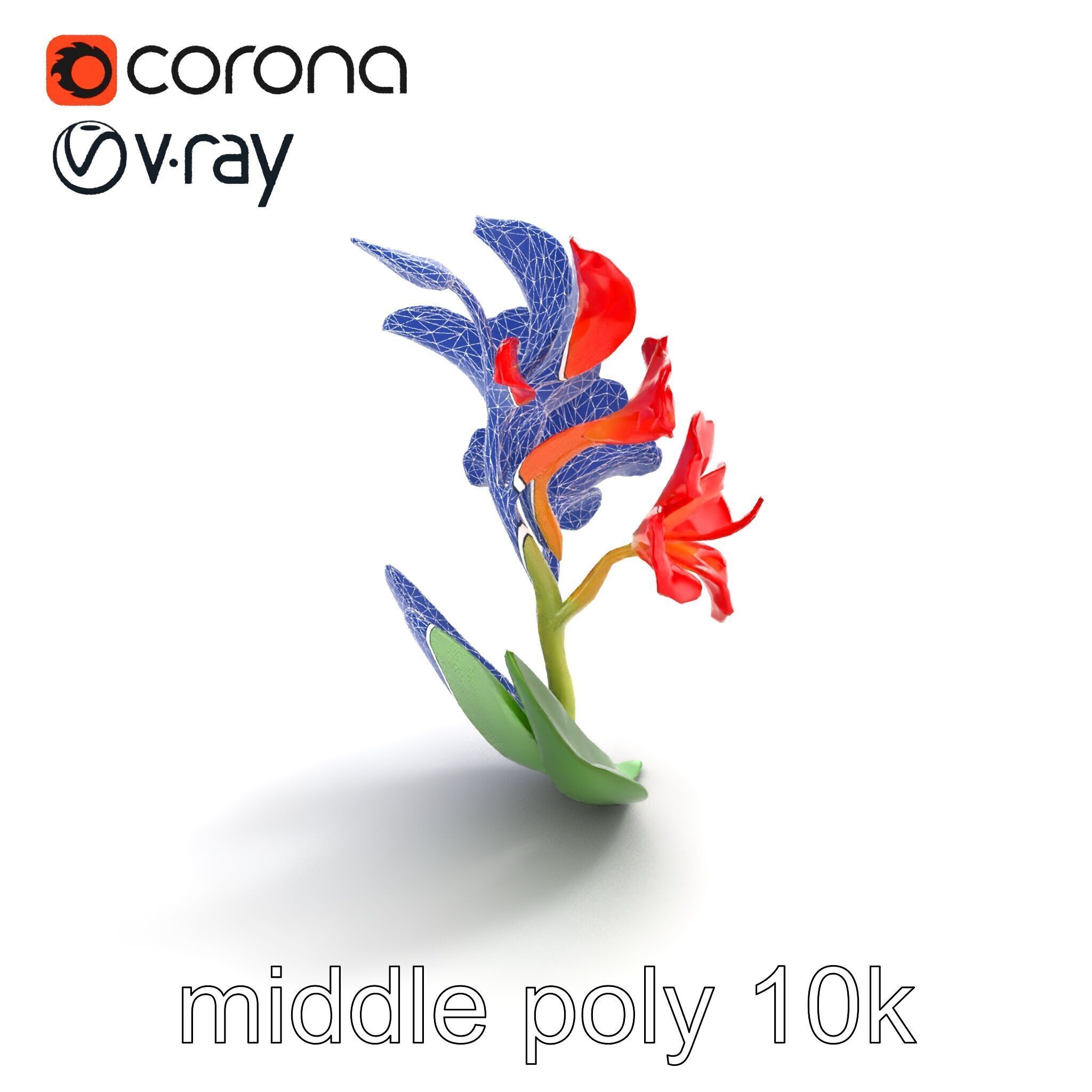 Miniature Gladiolus Flower Realistic Petal Model Pack Low-poly 3D model_11