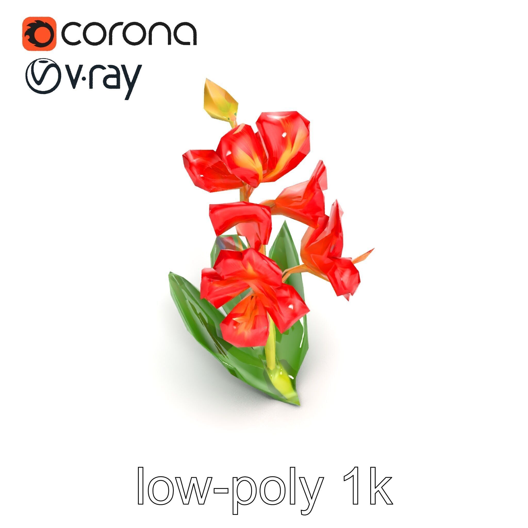 Miniature Gladiolus Flower Realistic Petal Model Pack Low-poly 3D model_27