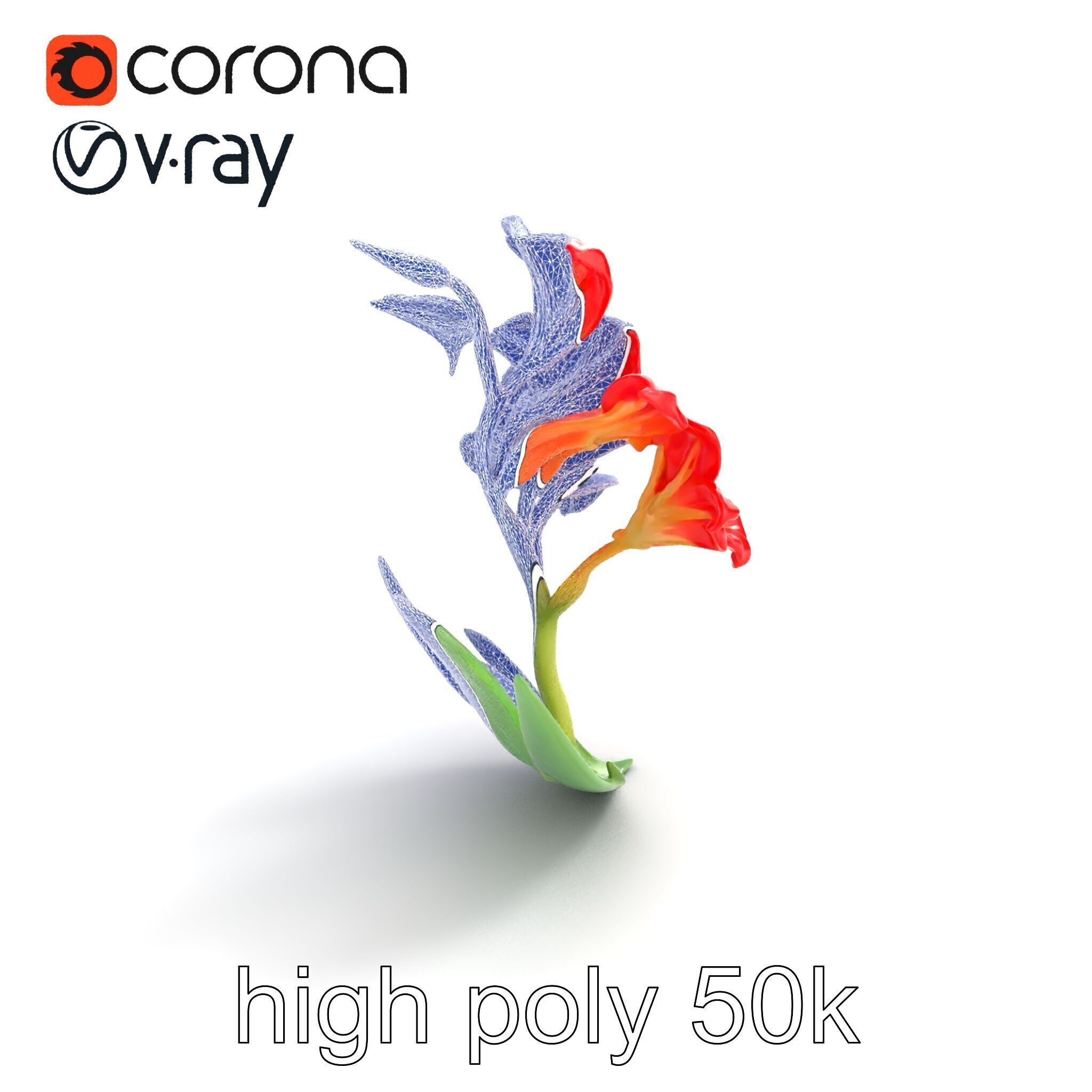 Miniature Gladiolus Flower Realistic Petal Model Pack Low-poly 3D model_18