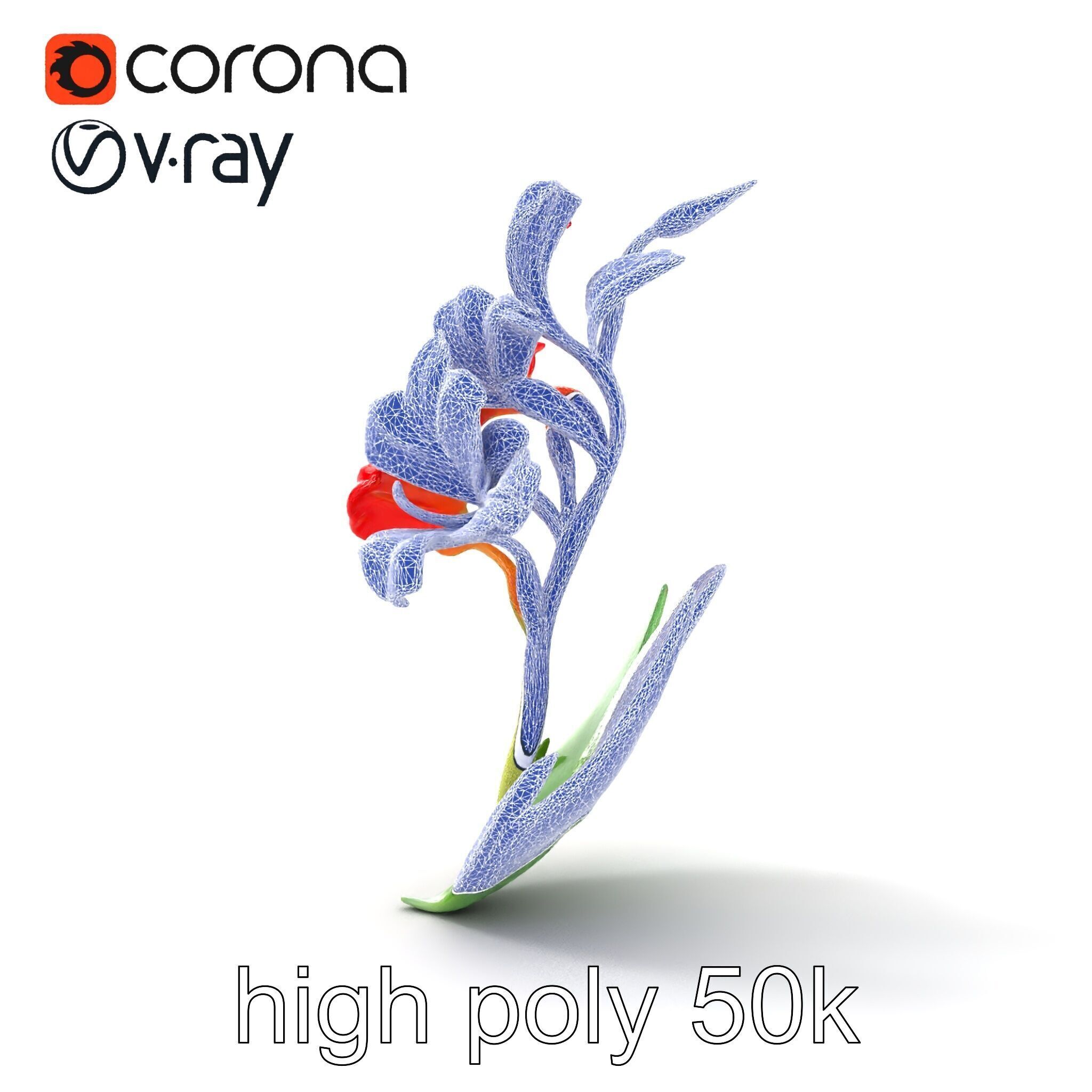 Miniature Gladiolus Flower Realistic Petal Model Pack Low-poly 3D model_22