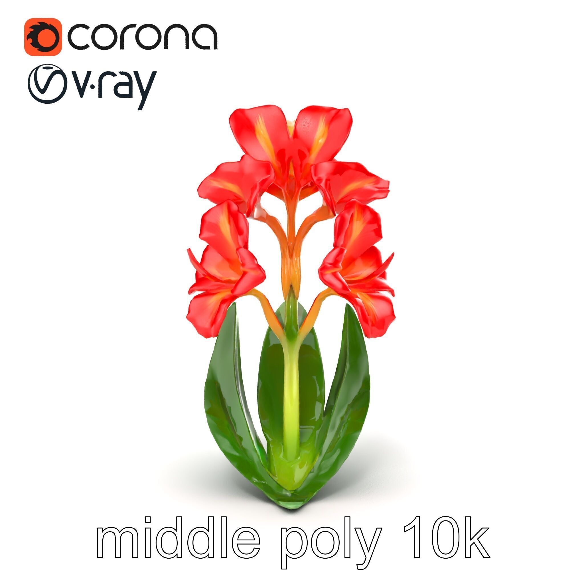 Miniature Gladiolus Flower Realistic Petal Model Pack Low-poly 3D model_16