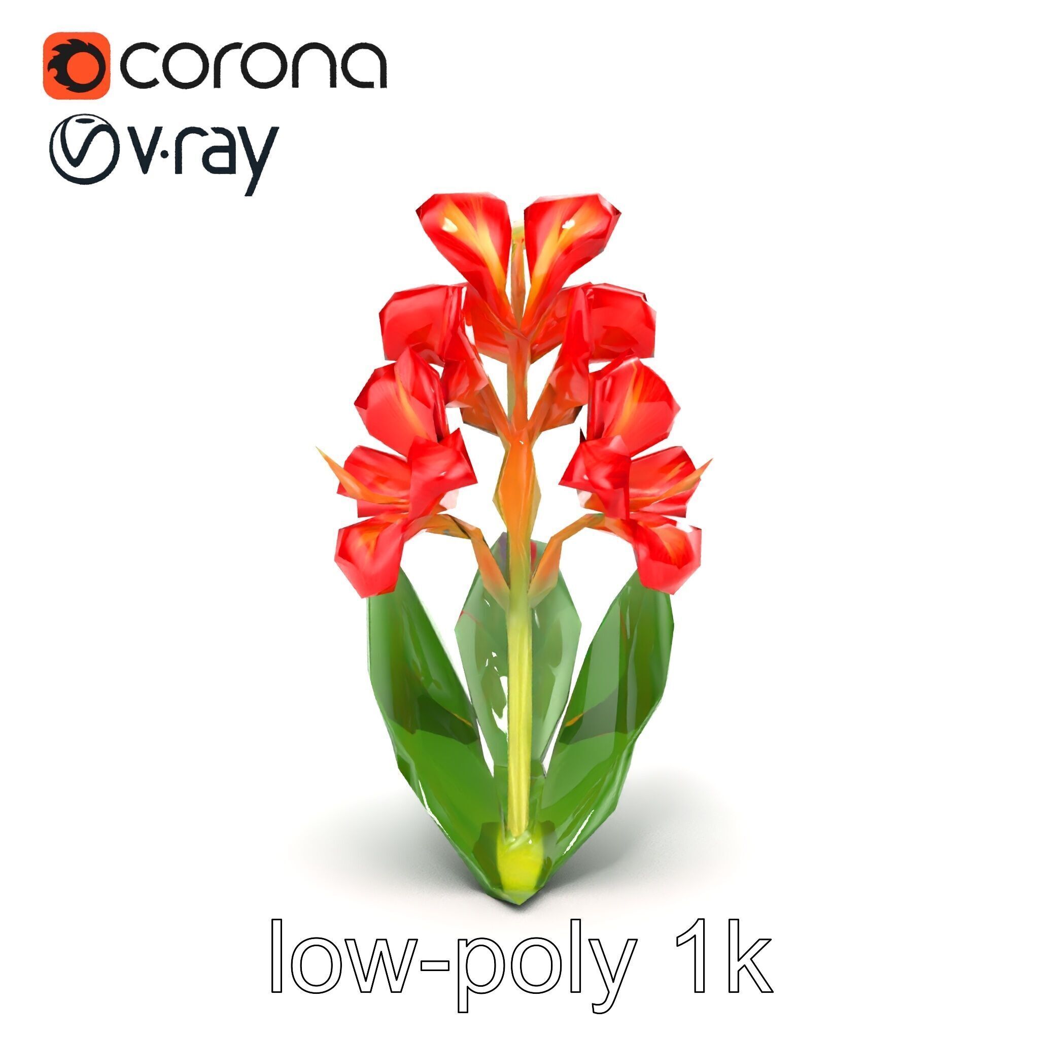 Miniature Gladiolus Flower Realistic Petal Model Pack Low-poly 3D model_30