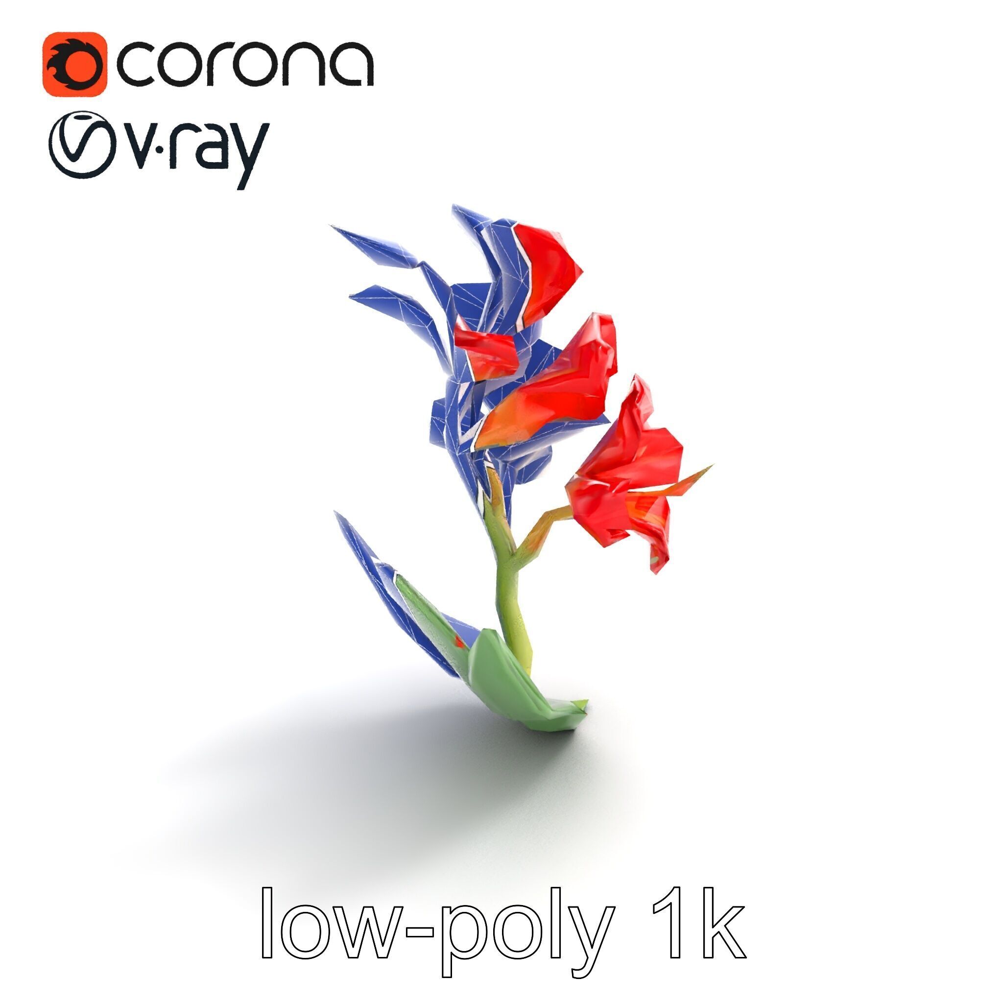Miniature Gladiolus Flower Realistic Petal Model Pack Low-poly 3D model_12