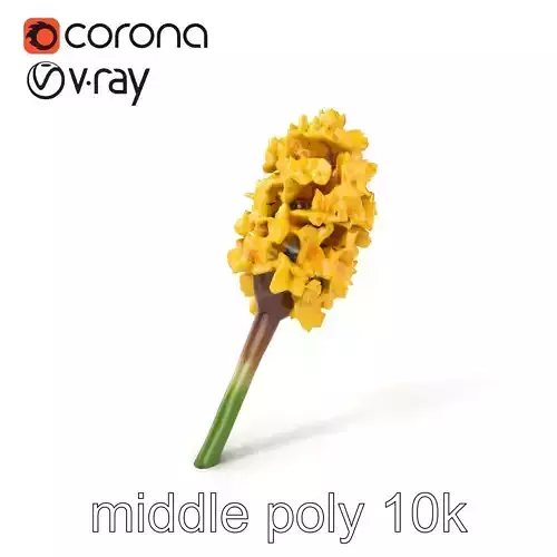 Sunny Yellow Hyacinth Model Pack