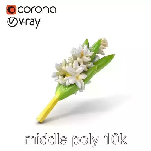 Double-Flowered Hyacinth Voluminous Layering model pack Low-poly 3D model