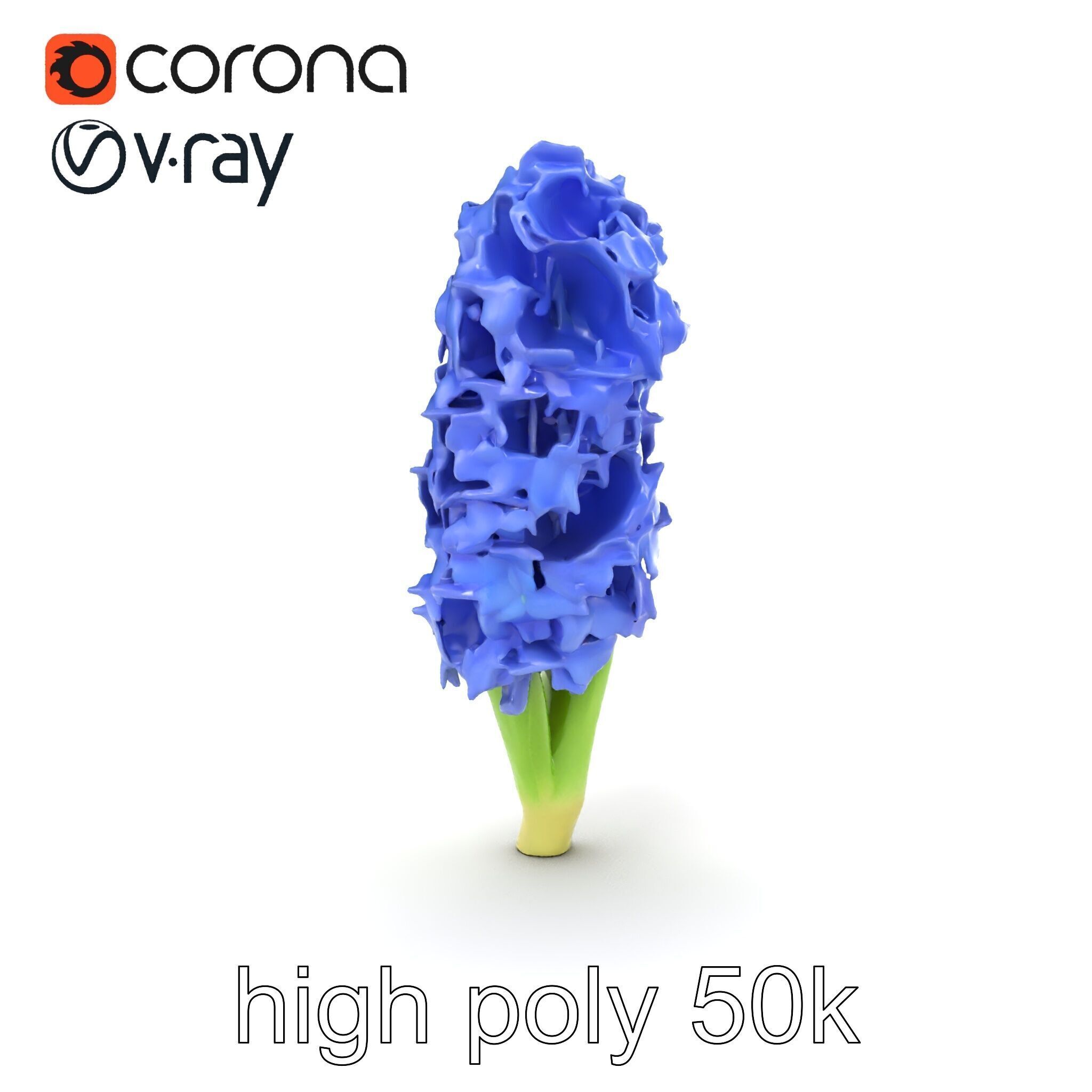 Hyacinth Flower Realistic Model Pack Low-poly 3D model_17