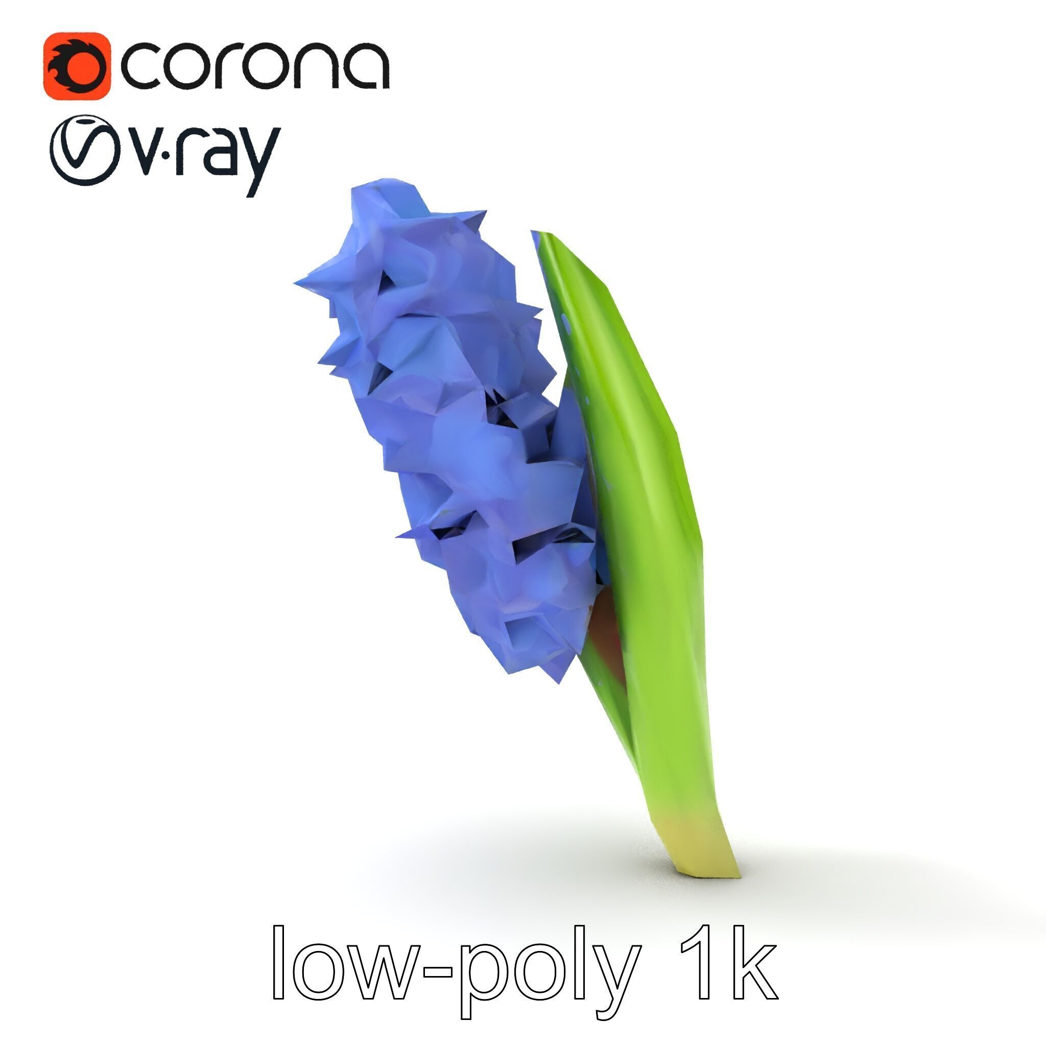Hyacinth Flower Realistic Model Pack Low-poly 3D model_32