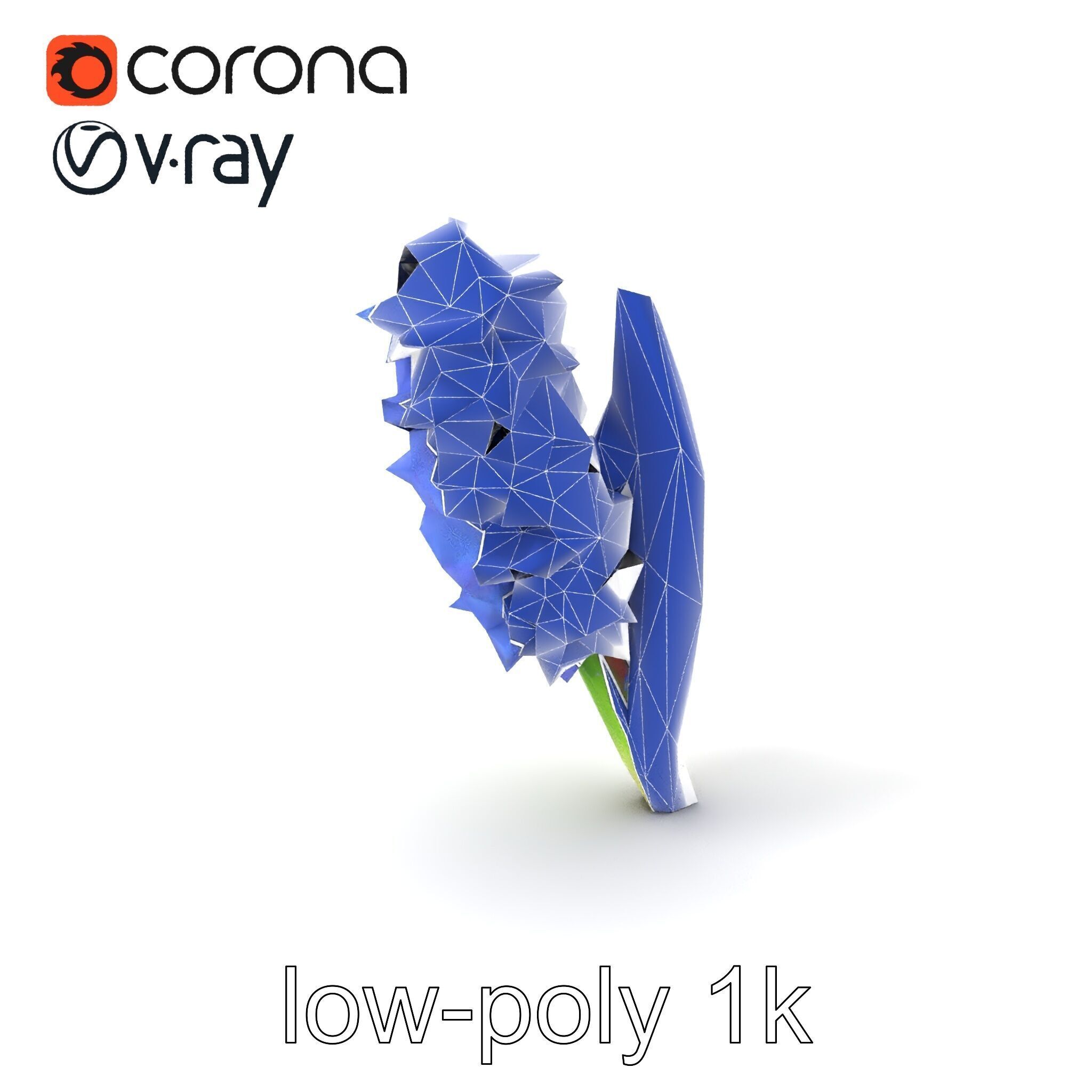 Hyacinth Flower Realistic Model Pack Low-poly 3D model_7