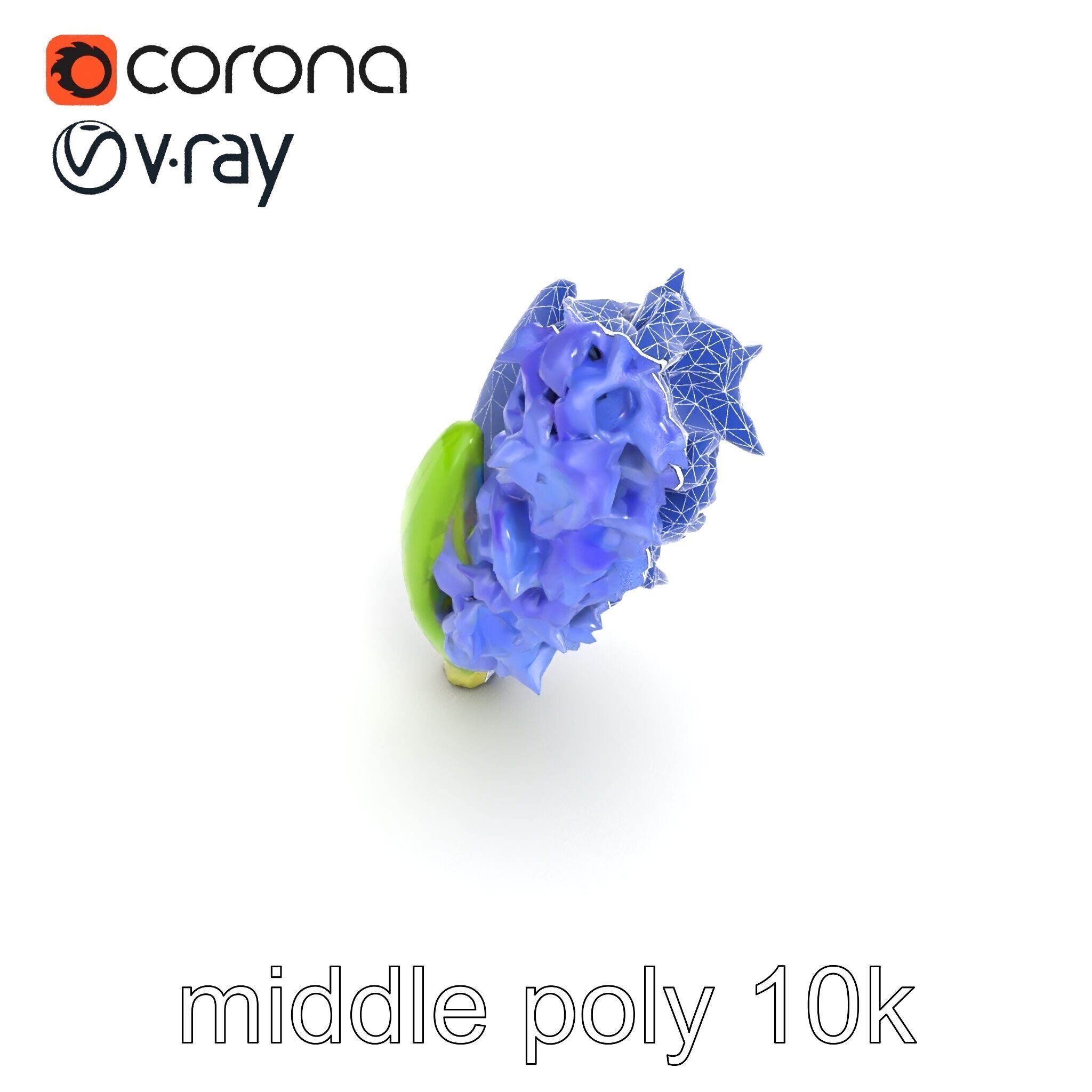 Hyacinth Flower Realistic Model Pack Low-poly 3D model_30