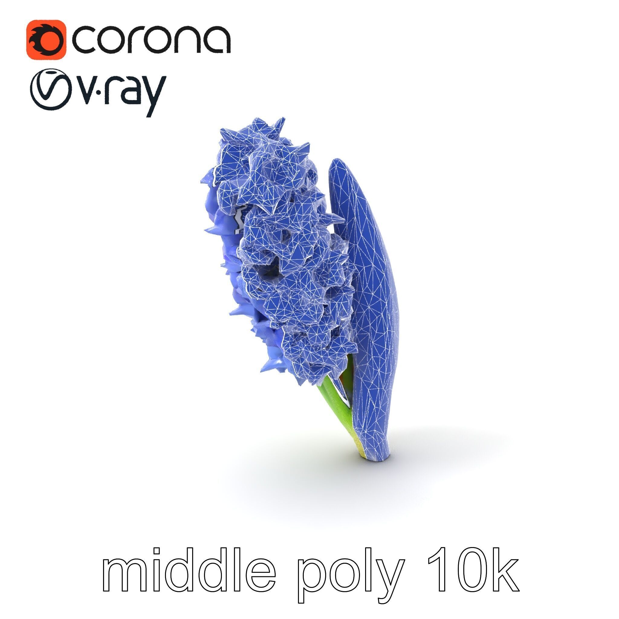 Hyacinth Flower Realistic Model Pack Low-poly 3D model_6