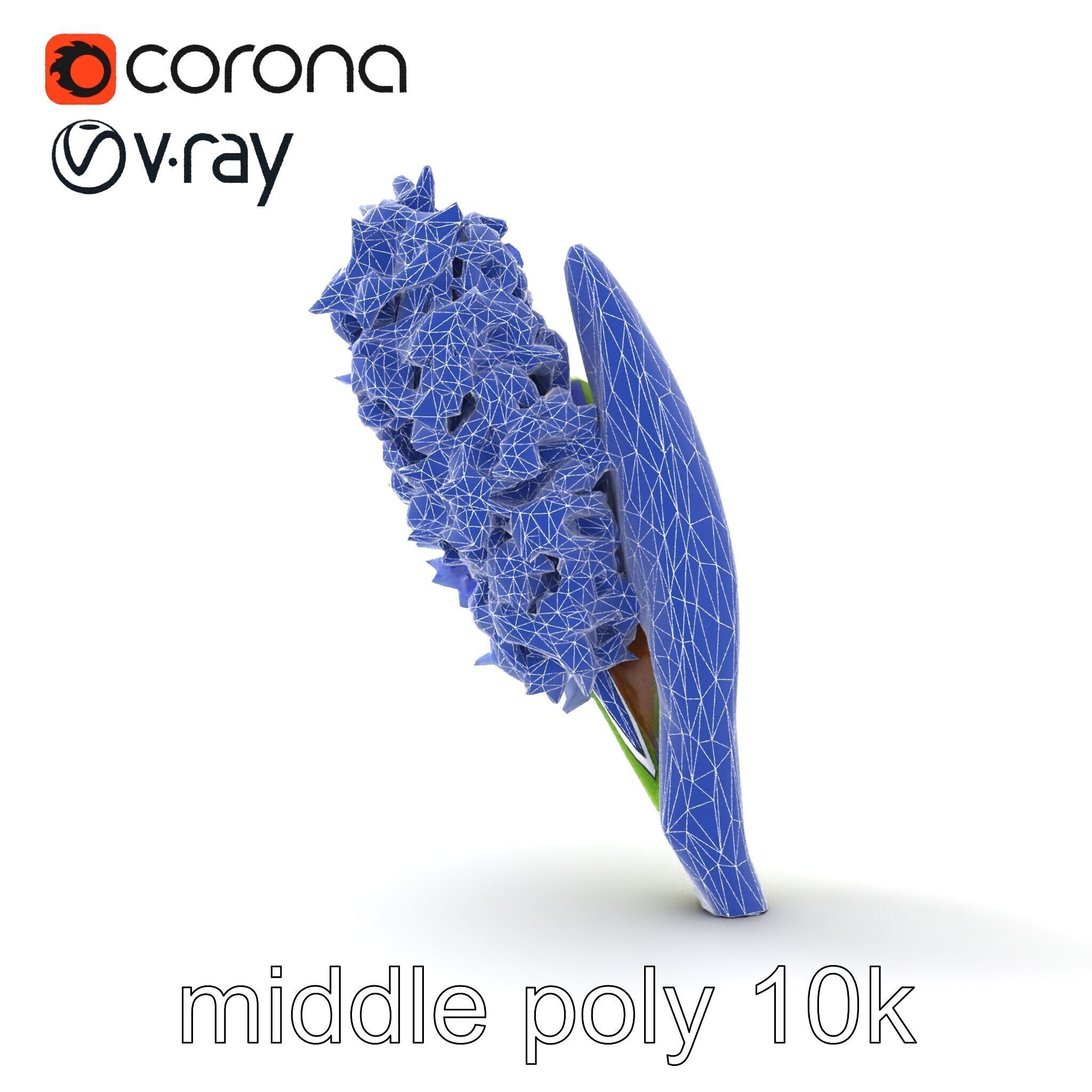 Hyacinth Flower Realistic Model Pack Low-poly 3D model_25