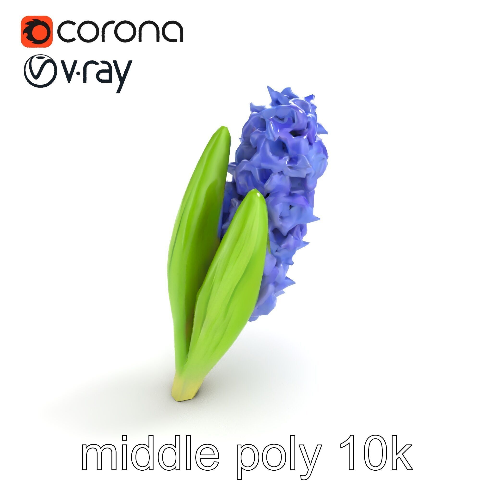 Hyacinth Flower Realistic Model Pack Low-poly 3D model_8