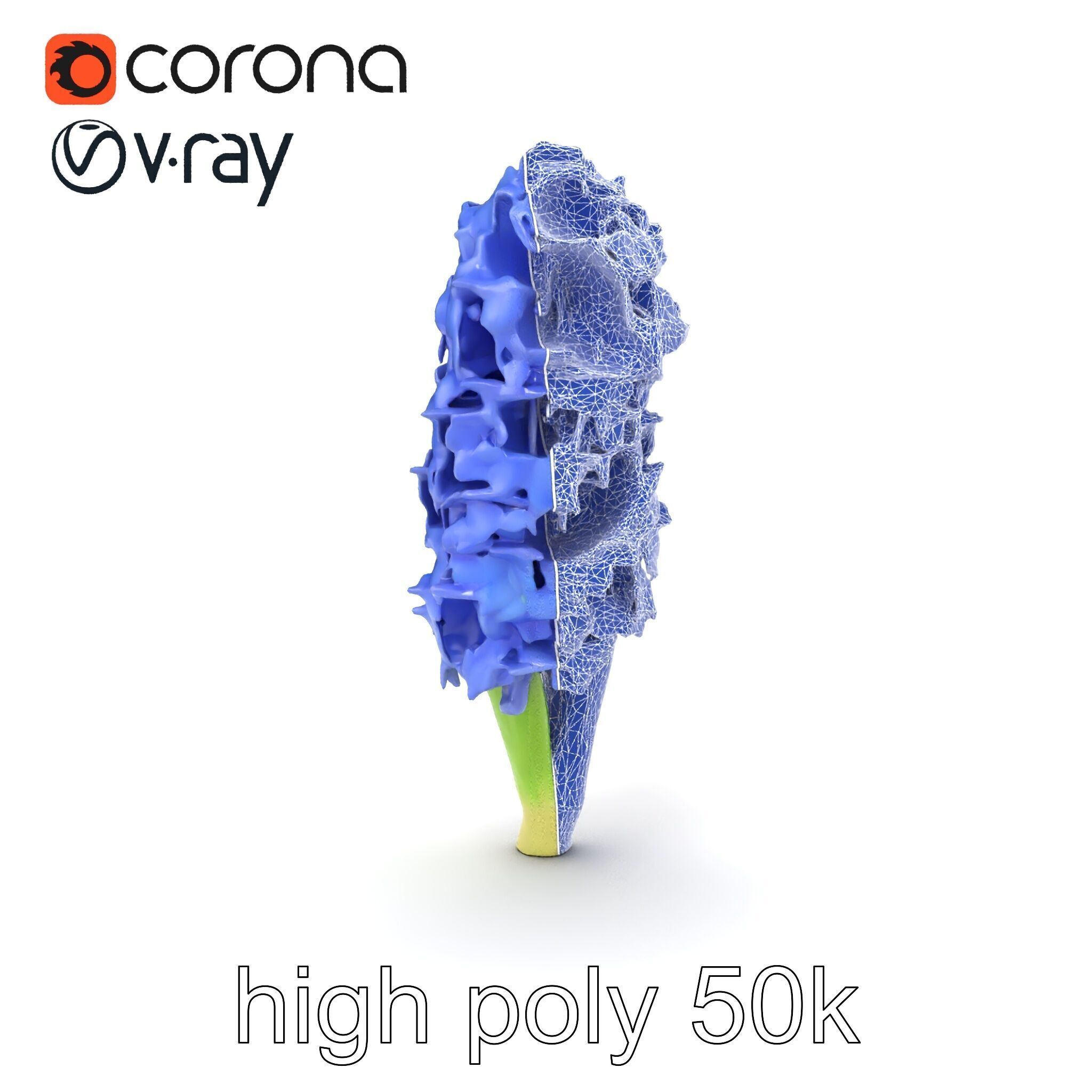 Hyacinth Flower Realistic Model Pack Low-poly 3D model_21