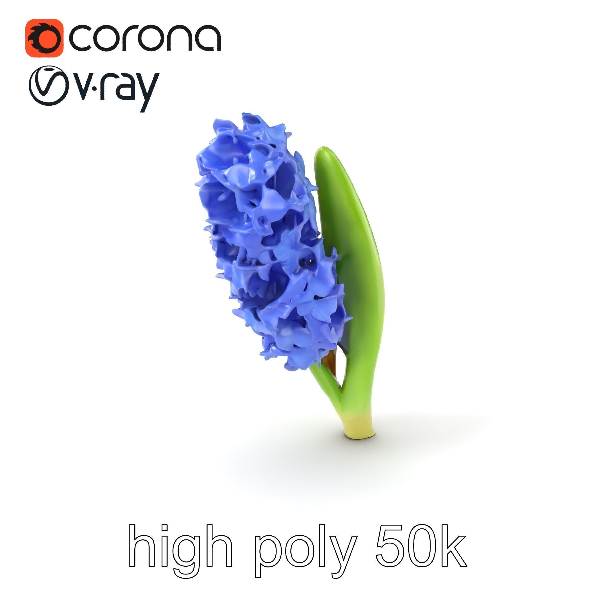 Hyacinth Flower Realistic Model Pack Low-poly 3D model_2