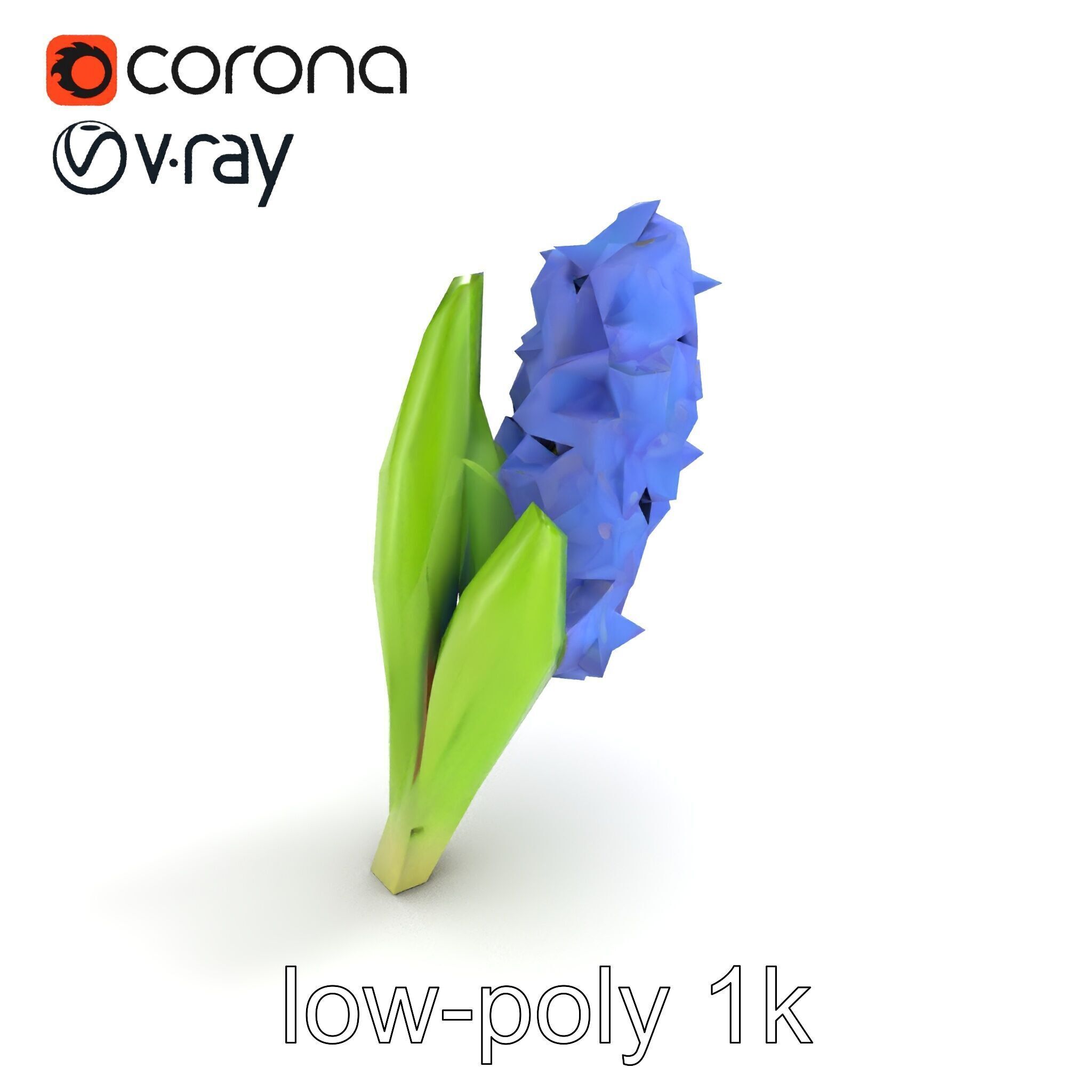 Hyacinth Flower Realistic Model Pack Low-poly 3D model_9
