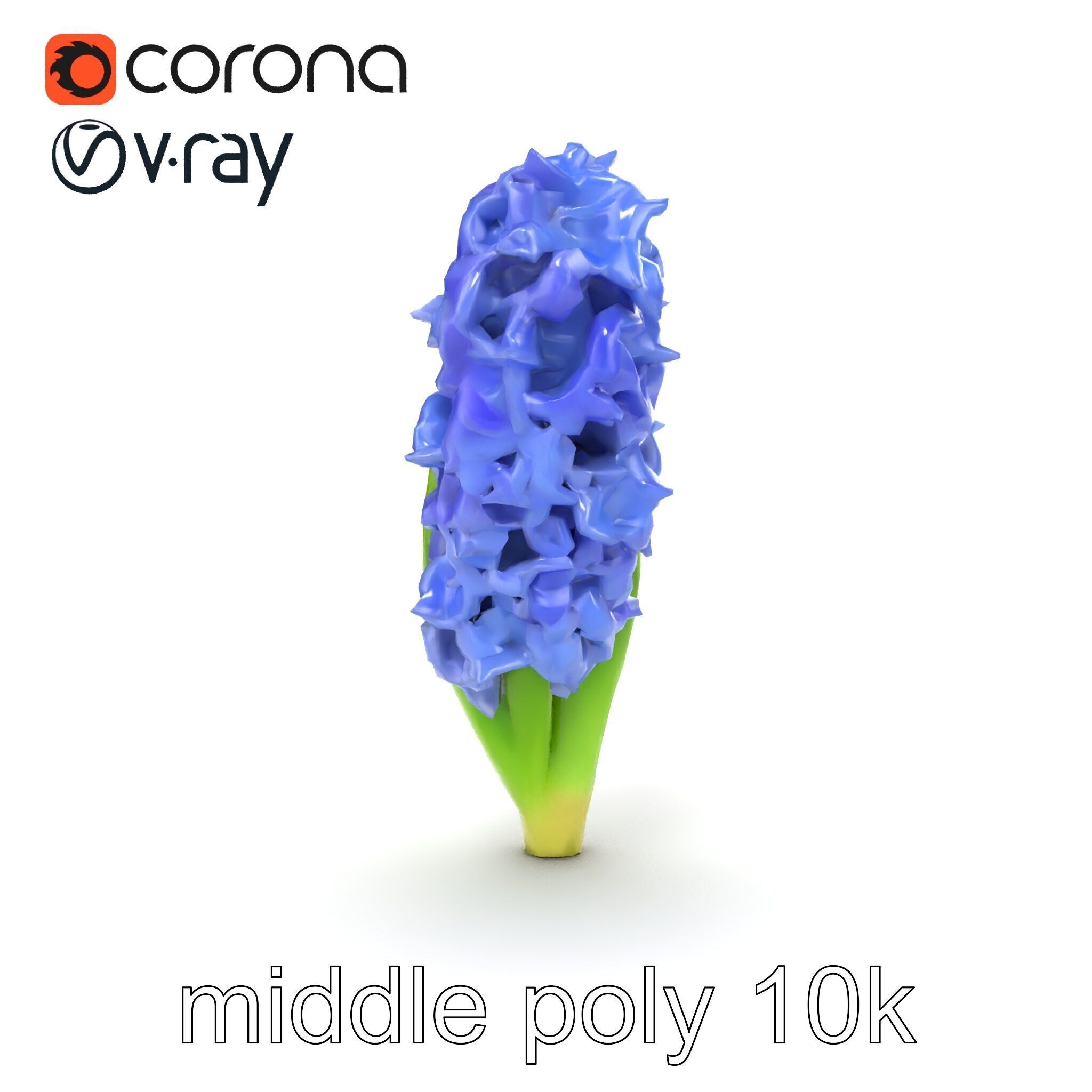 Hyacinth Flower Realistic Model Pack Low-poly 3D model_29