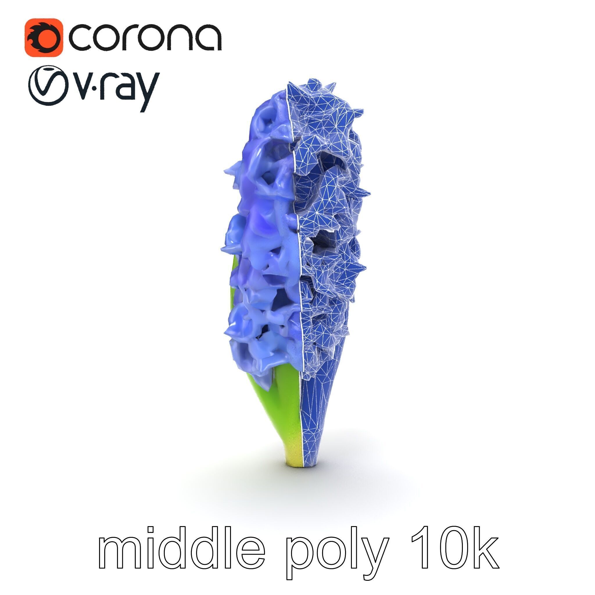 Hyacinth Flower Realistic Model Pack Low-poly 3D model_19