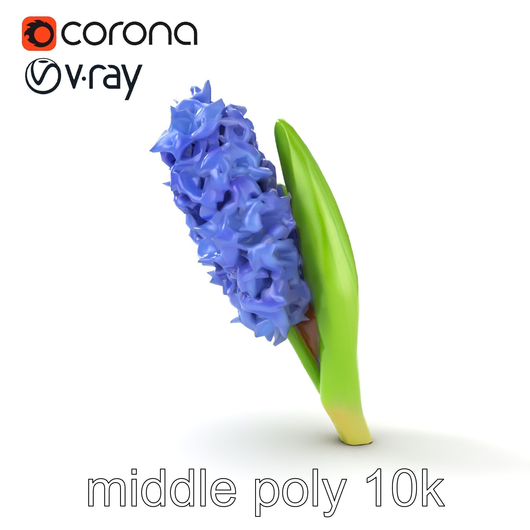 Hyacinth Flower Realistic Model Pack Low-poly 3D model_27
