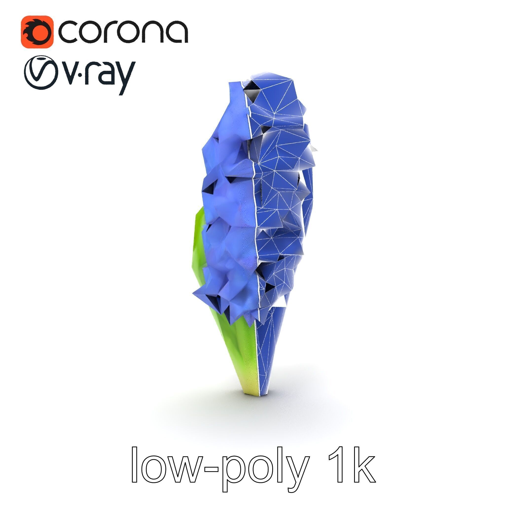 Hyacinth Flower Realistic Model Pack Low-poly 3D model_23