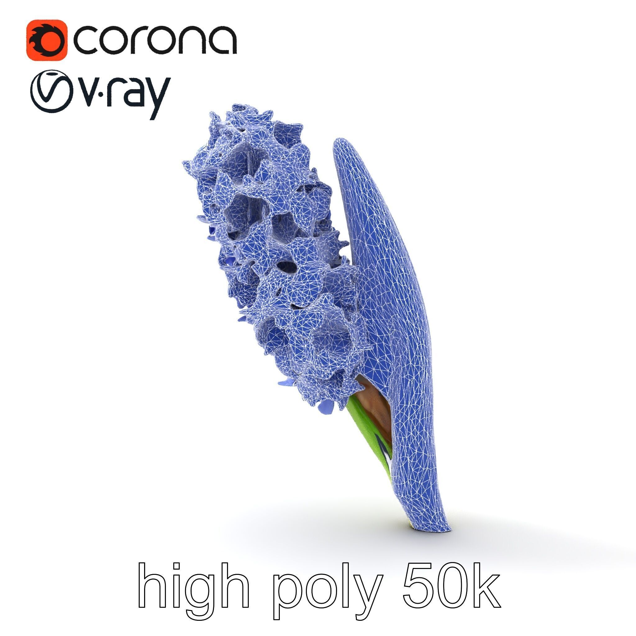 Hyacinth Flower Realistic Model Pack Low-poly 3D model_22