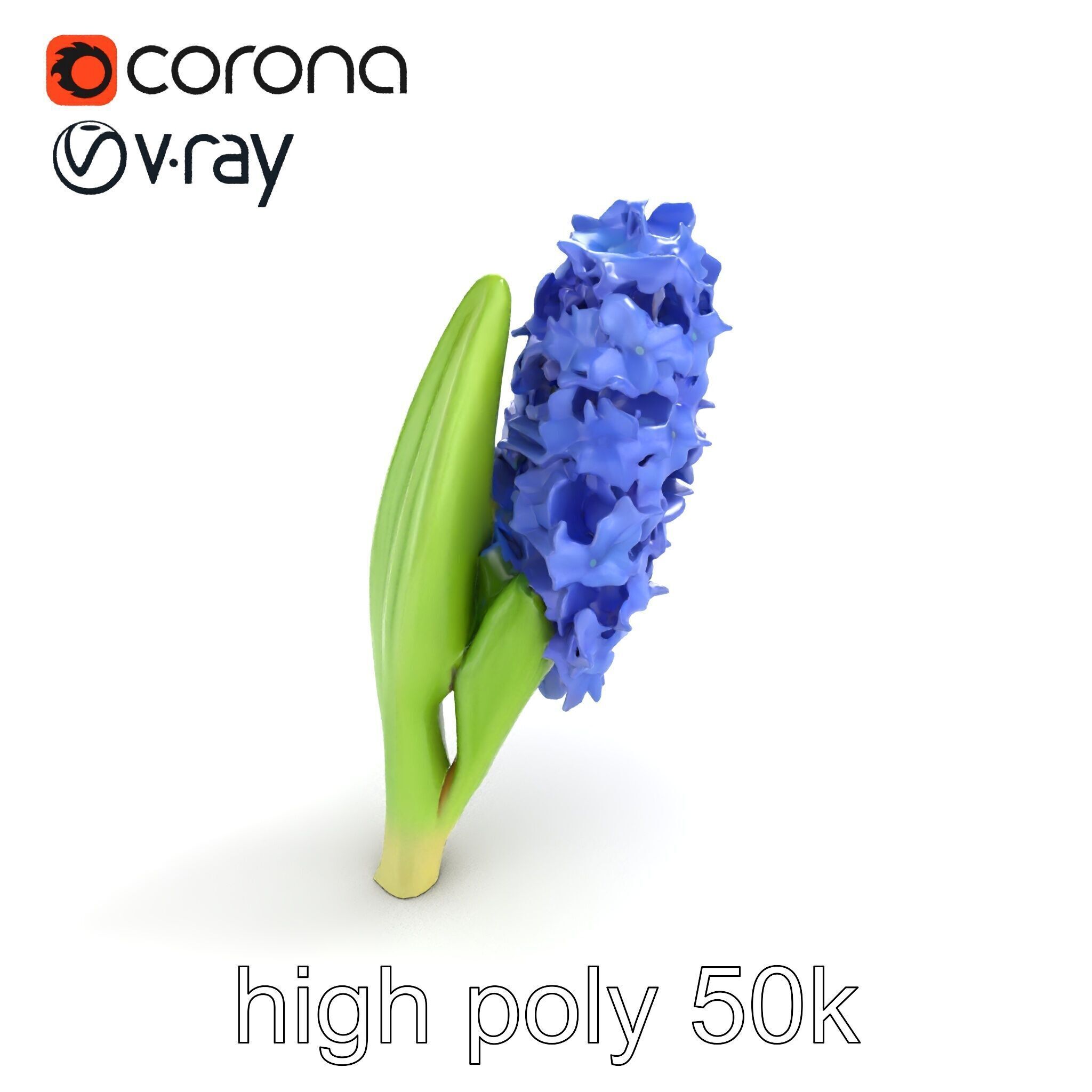 Hyacinth Flower Realistic Model Pack Low-poly 3D model_31