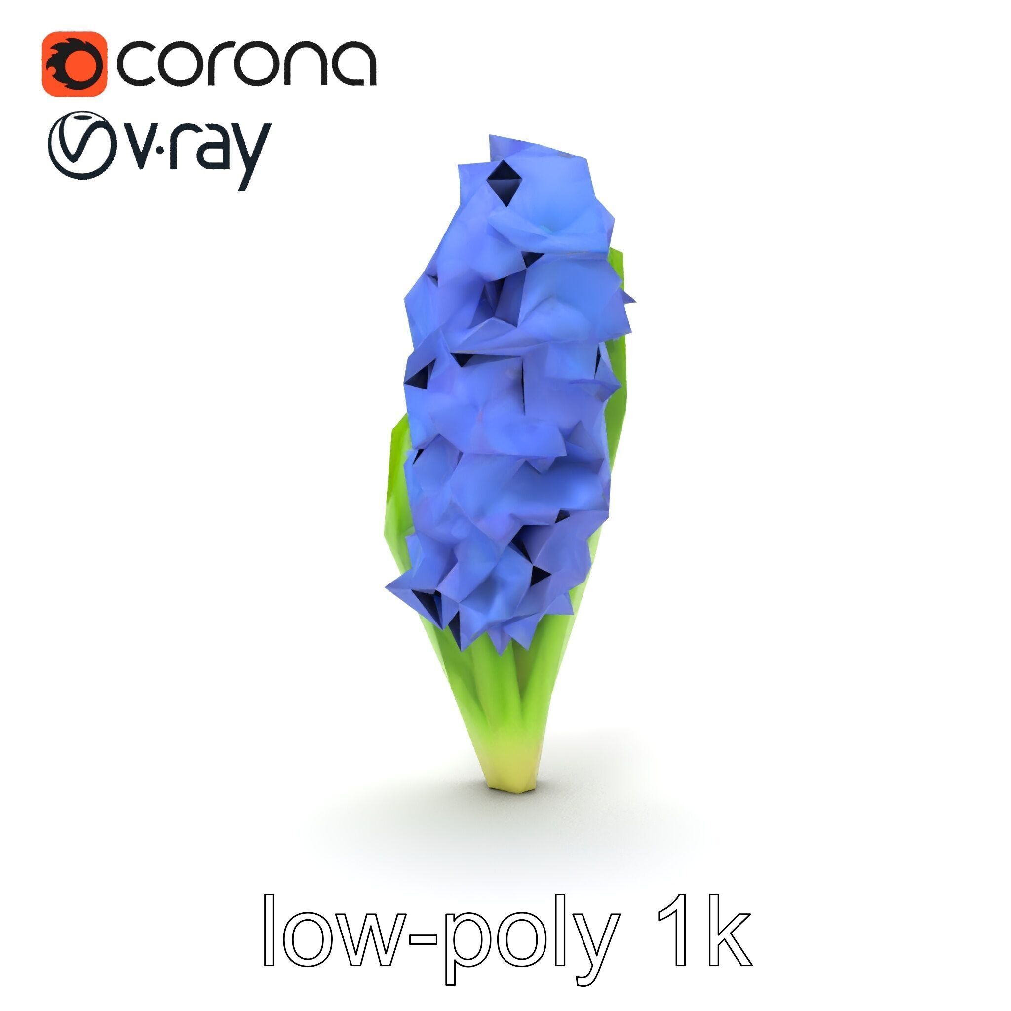 Hyacinth Flower Realistic Model Pack Low-poly 3D model_18
