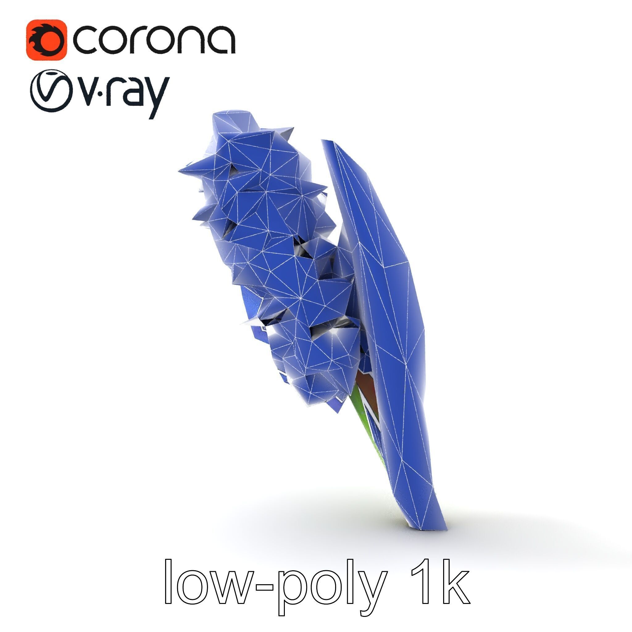 Hyacinth Flower Realistic Model Pack Low-poly 3D model_14