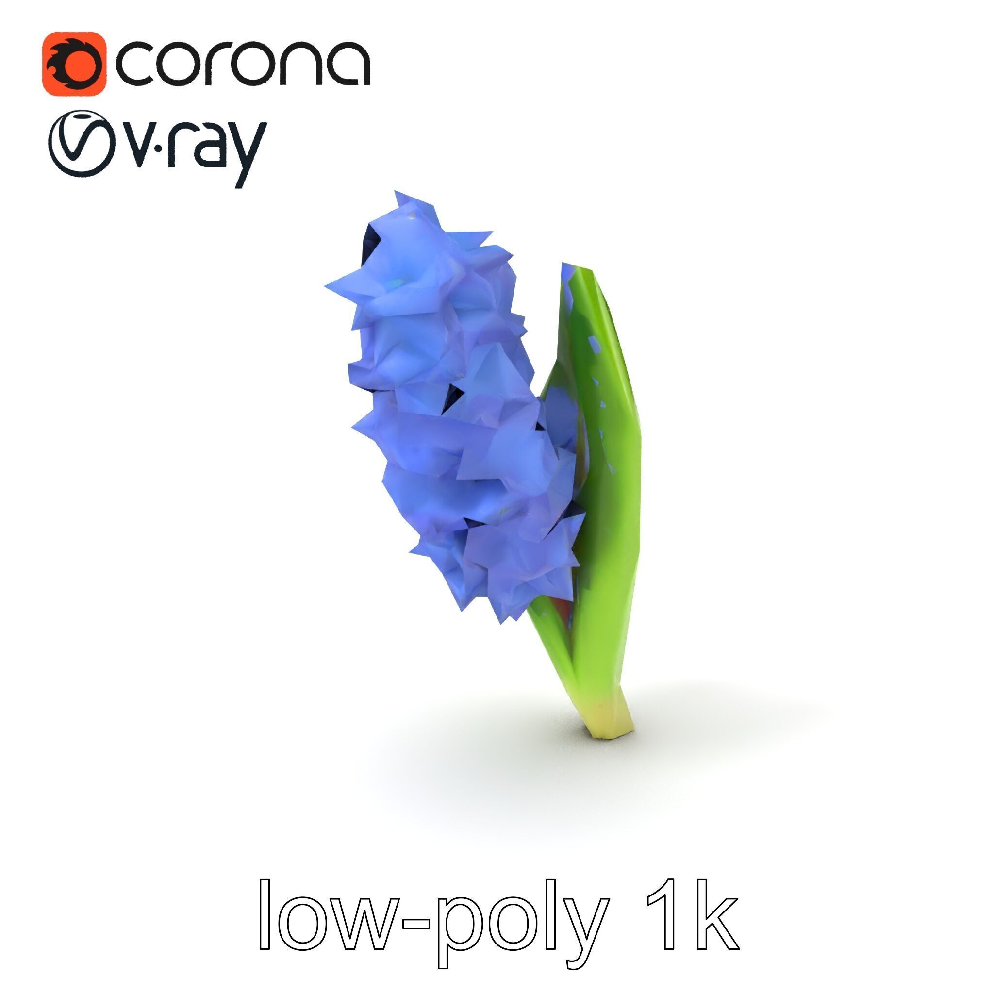 Hyacinth Flower Realistic Model Pack Low-poly 3D model_5