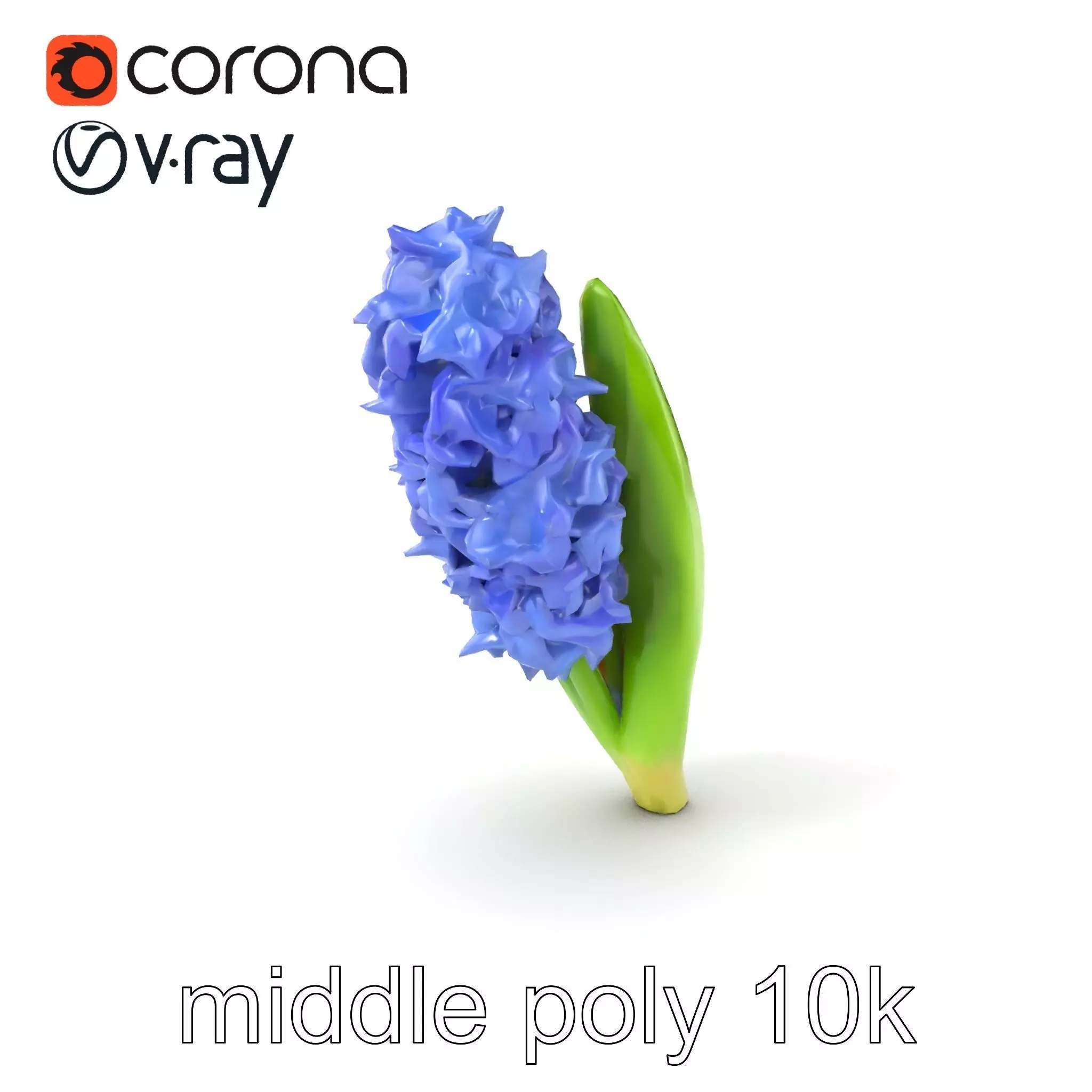 Hyacinth Flower Realistic Model Pack Low-poly 3D model_0