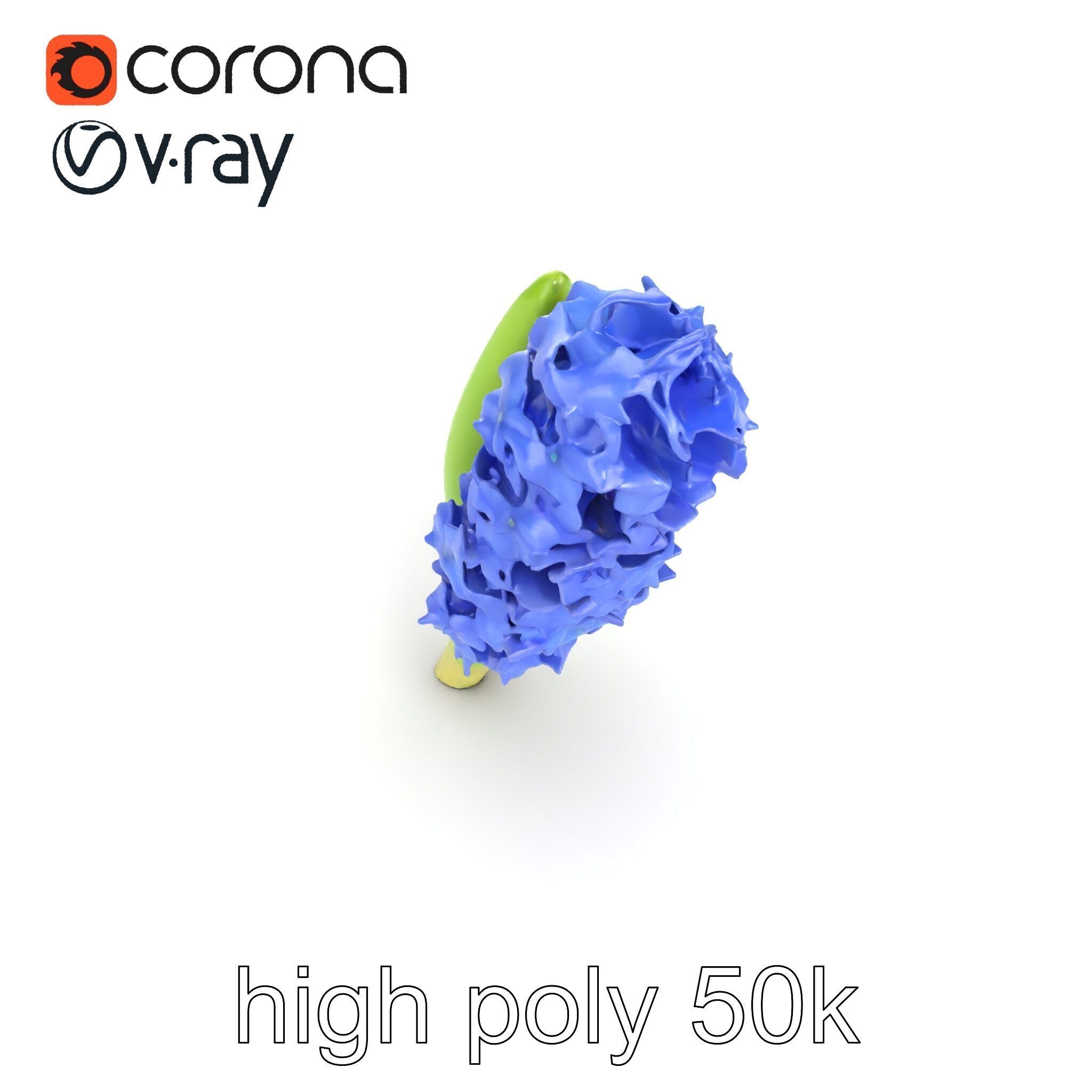 Hyacinth Flower Realistic Model Pack Low-poly 3D model_11
