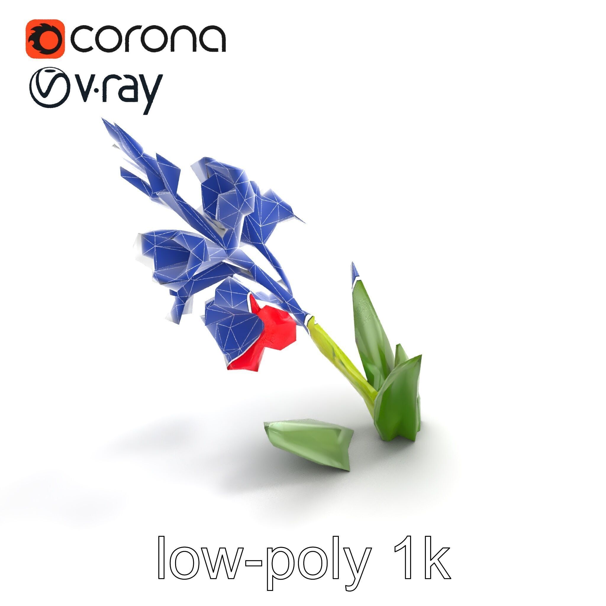 Gladiolus Minor Flower Model Pack Low-poly 3D model_21