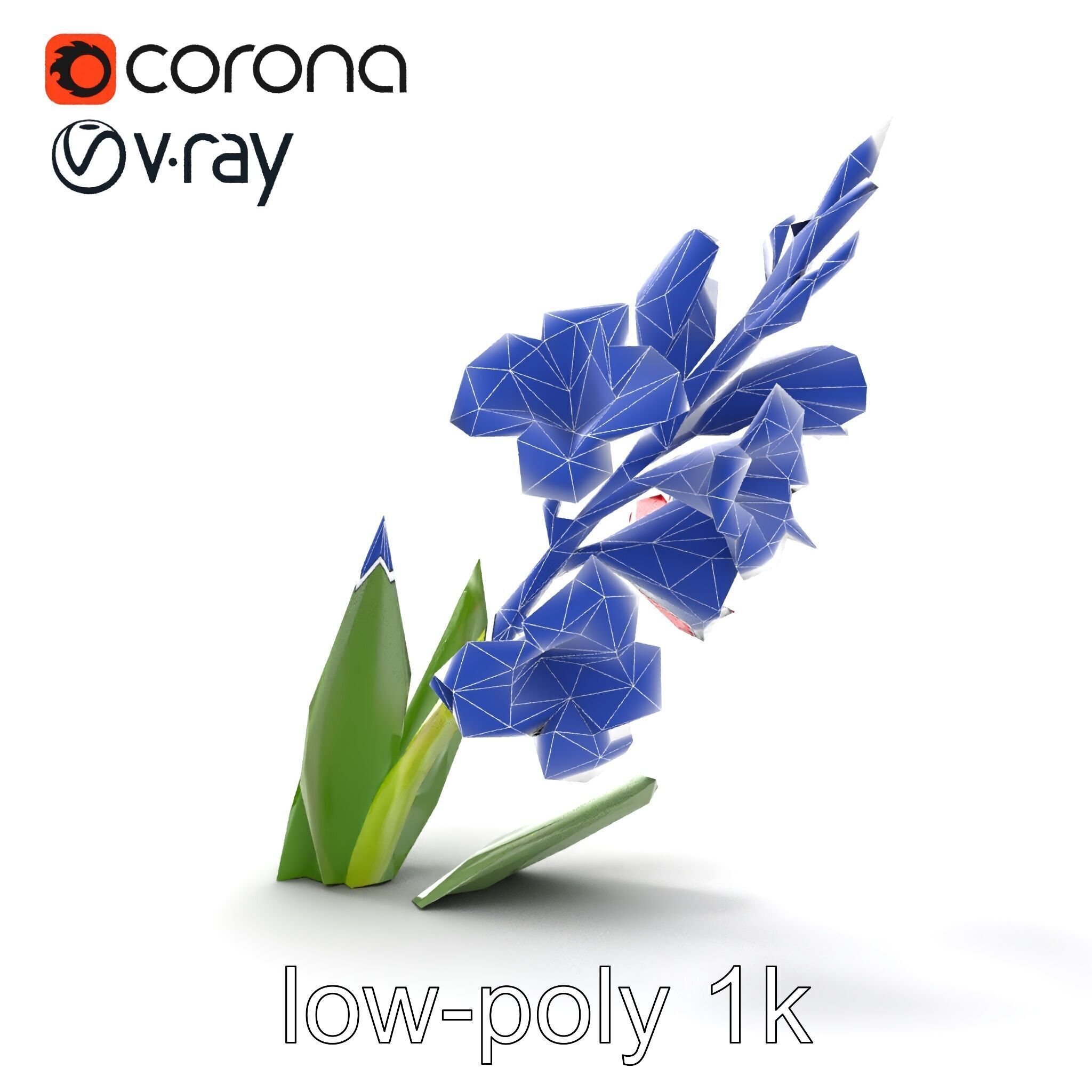 Gladiolus Minor Flower Model Pack Low-poly 3D model_16