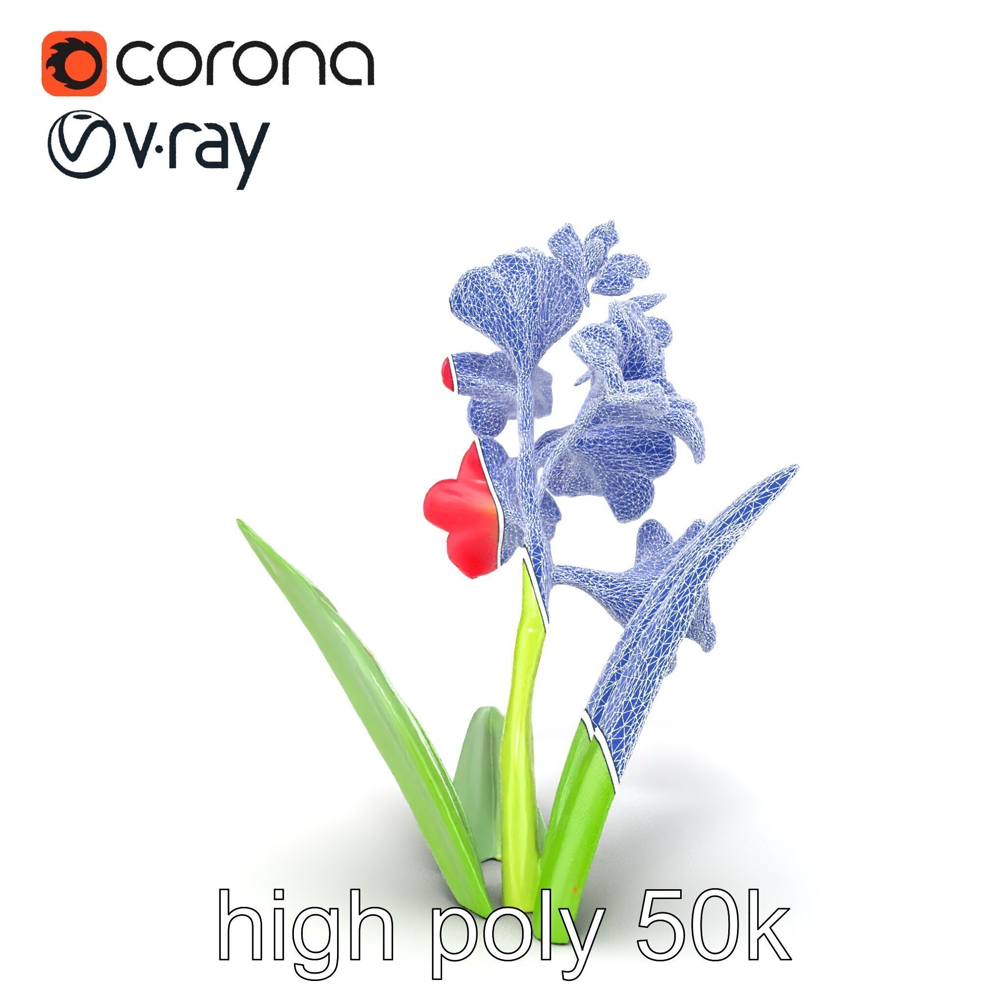 Gladiolus Minor Flower Model Pack Low-poly 3D model_31