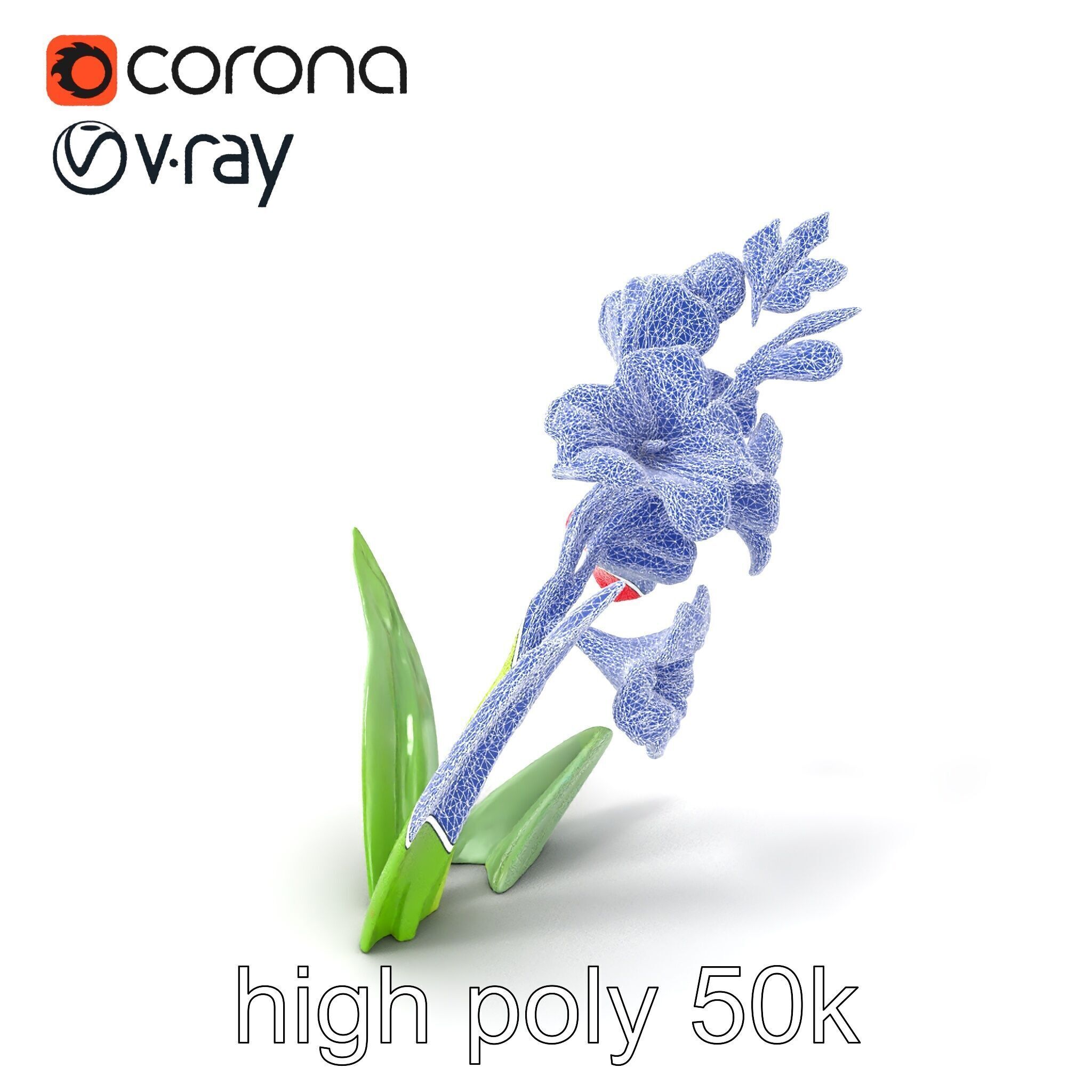 Gladiolus Minor Flower Model Pack Low-poly 3D model_10