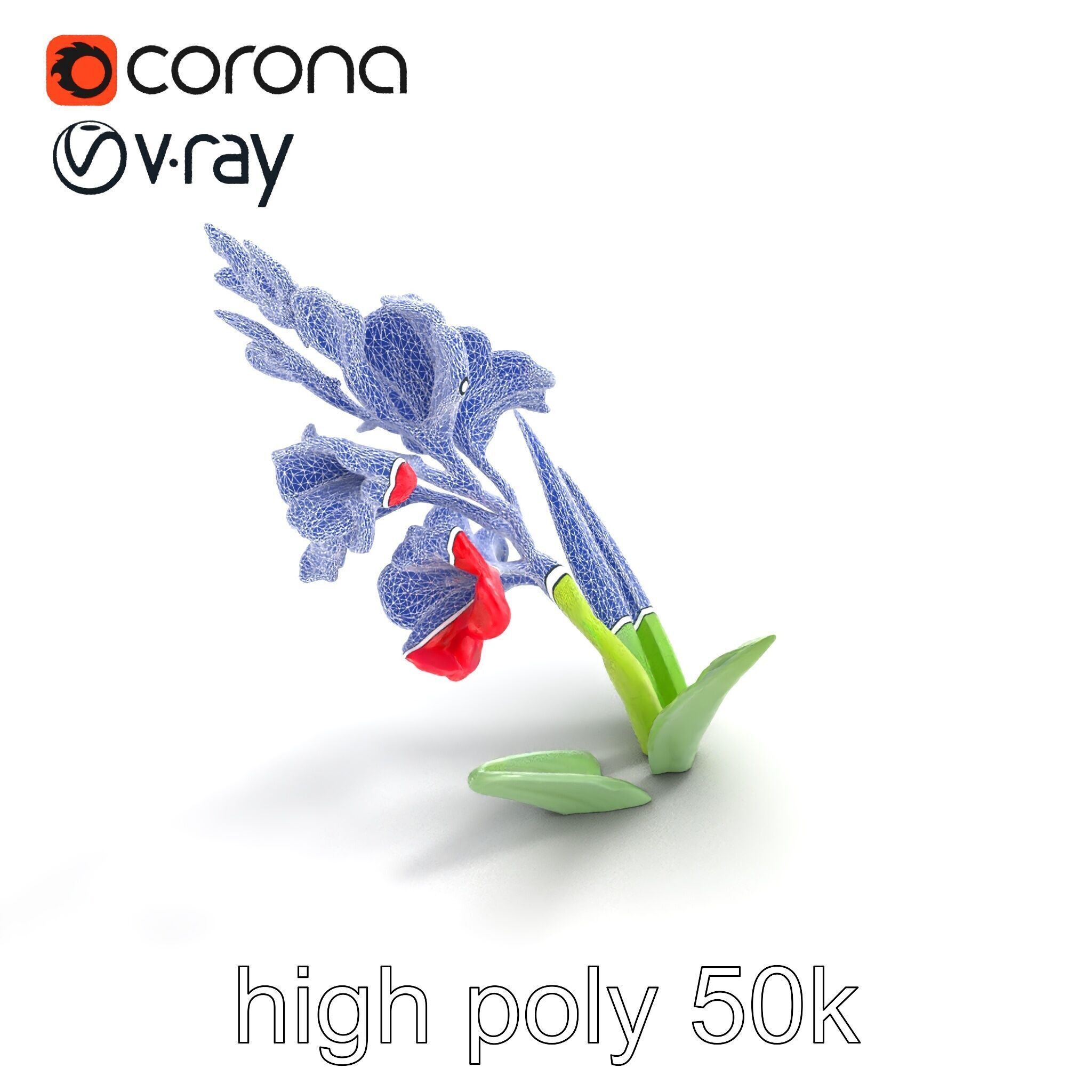 Gladiolus Minor Flower Model Pack Low-poly 3D model_22