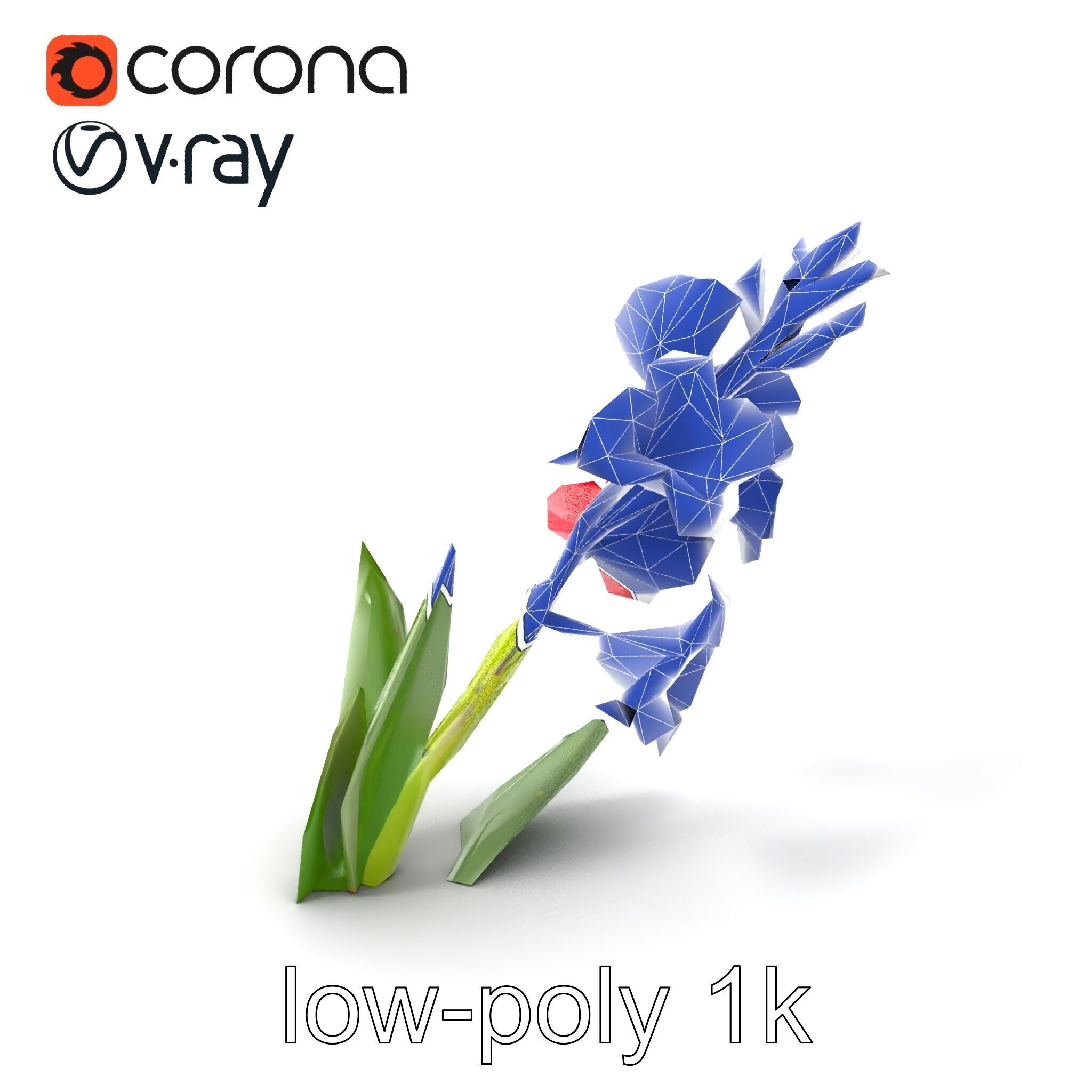 Gladiolus Minor Flower Model Pack Low-poly 3D model_7