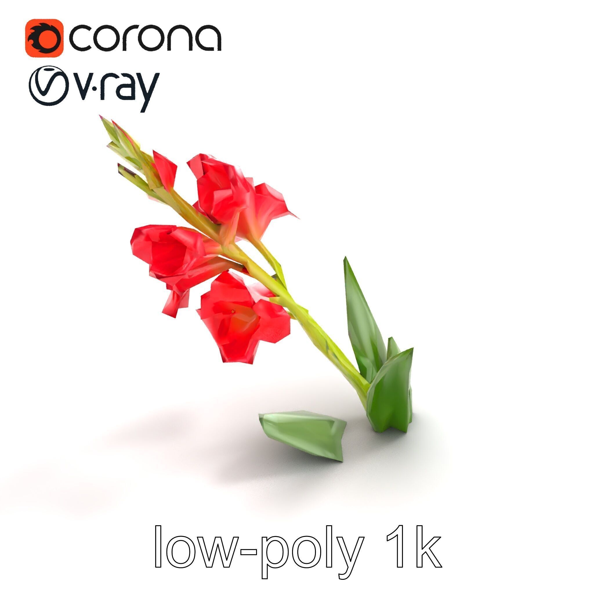 Gladiolus Minor Flower Model Pack Low-poly 3D model_9
