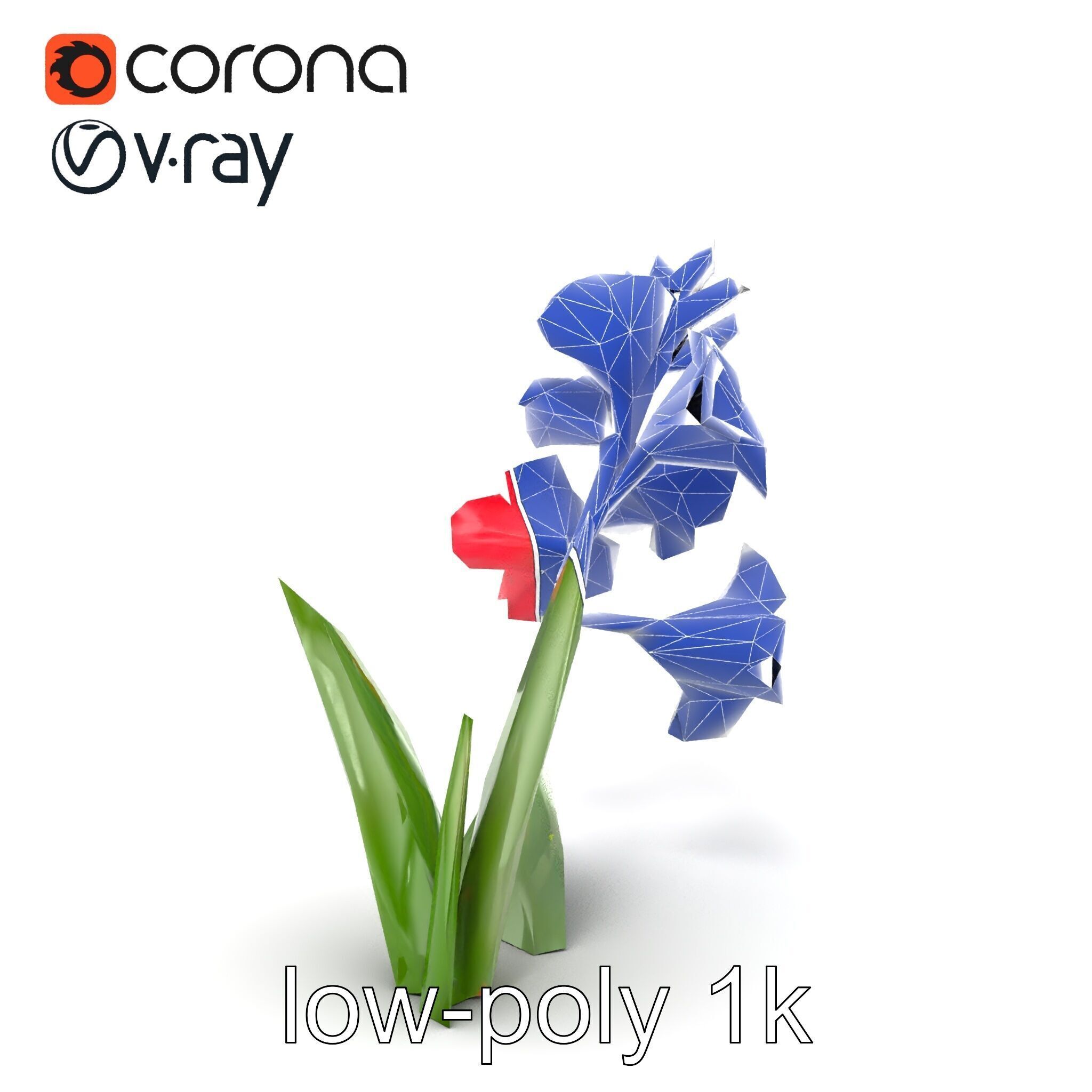 Gladiolus Minor Flower Model Pack Low-poly 3D model_29
