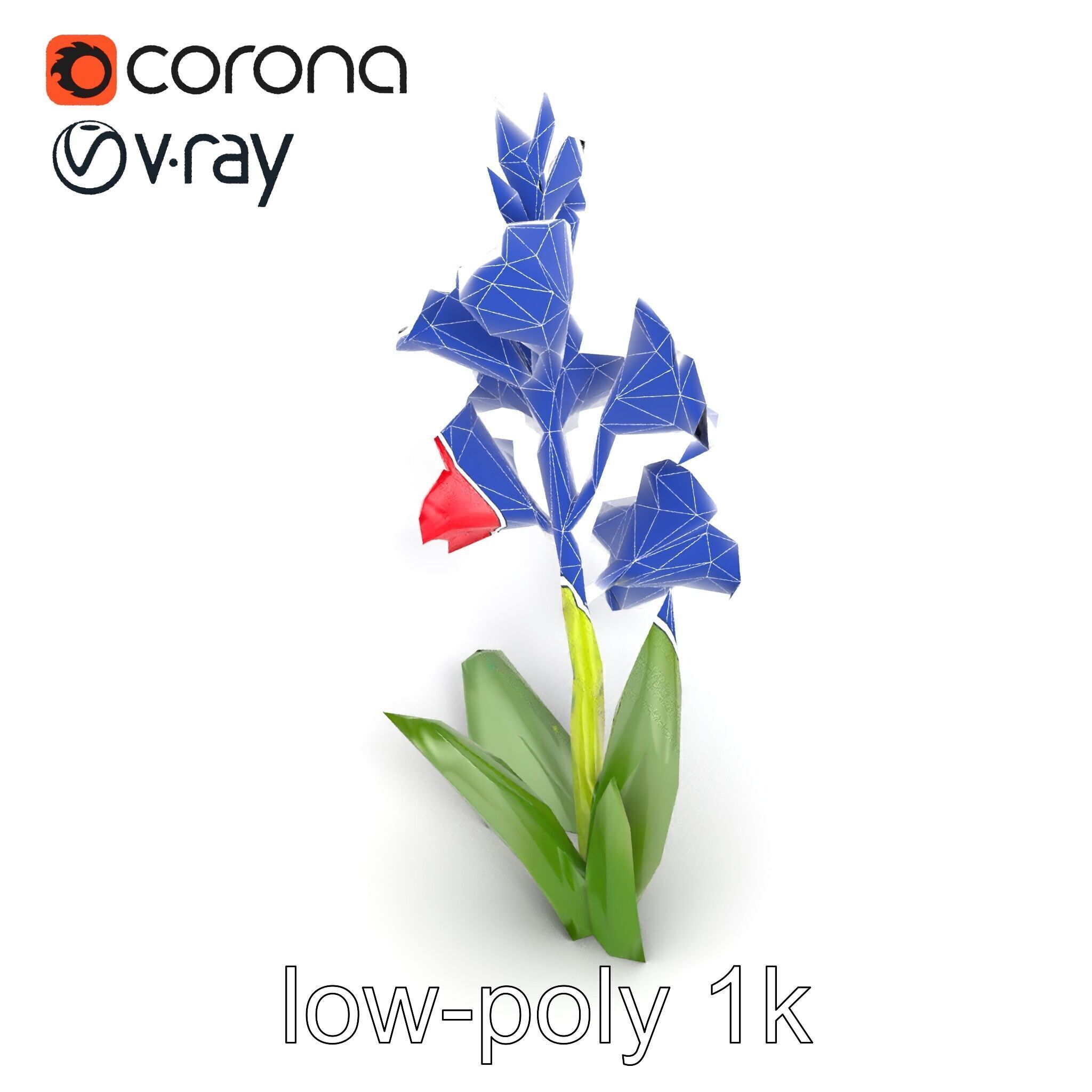 Gladiolus Minor Flower Model Pack Low-poly 3D model_24