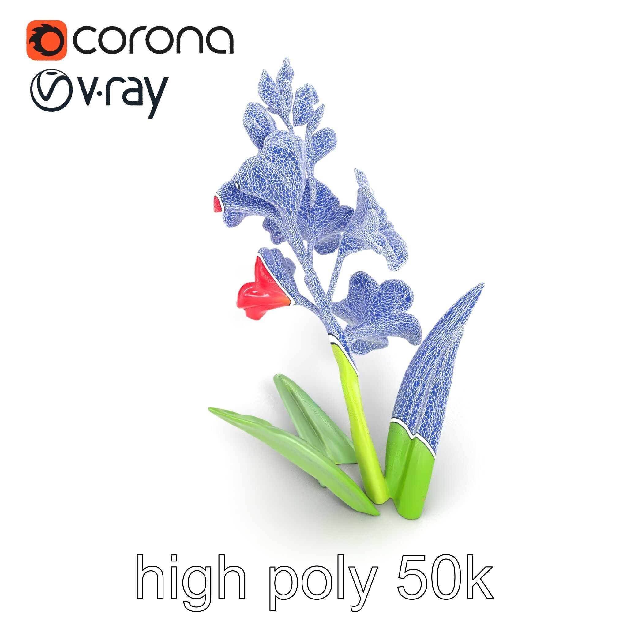 Gladiolus Minor Flower Model Pack Low-poly 3D model_23