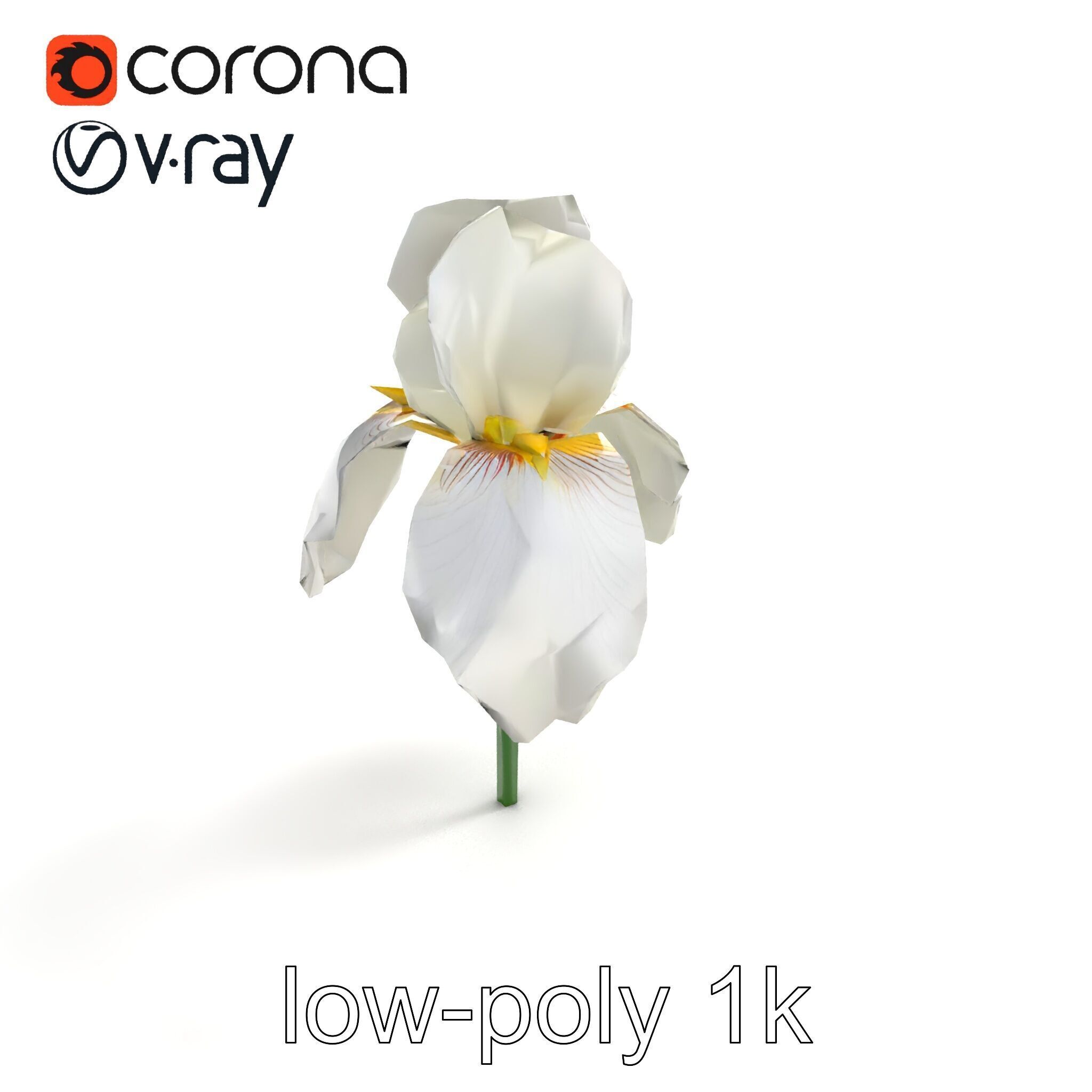 Iris White Flower Detailed Sculpture model pack Low-poly 3D model_8