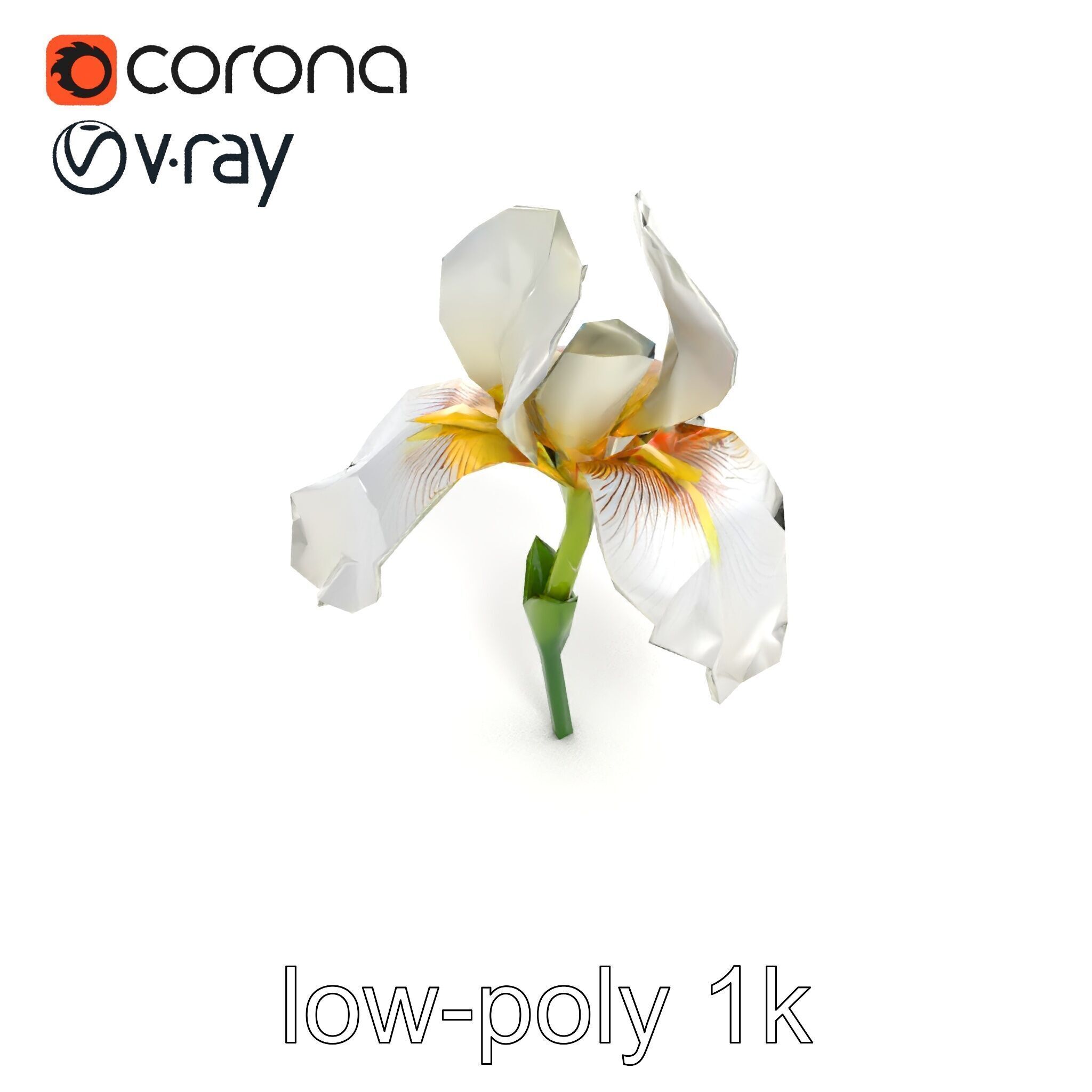 Iris White Flower Detailed Sculpture model pack Low-poly 3D model_14