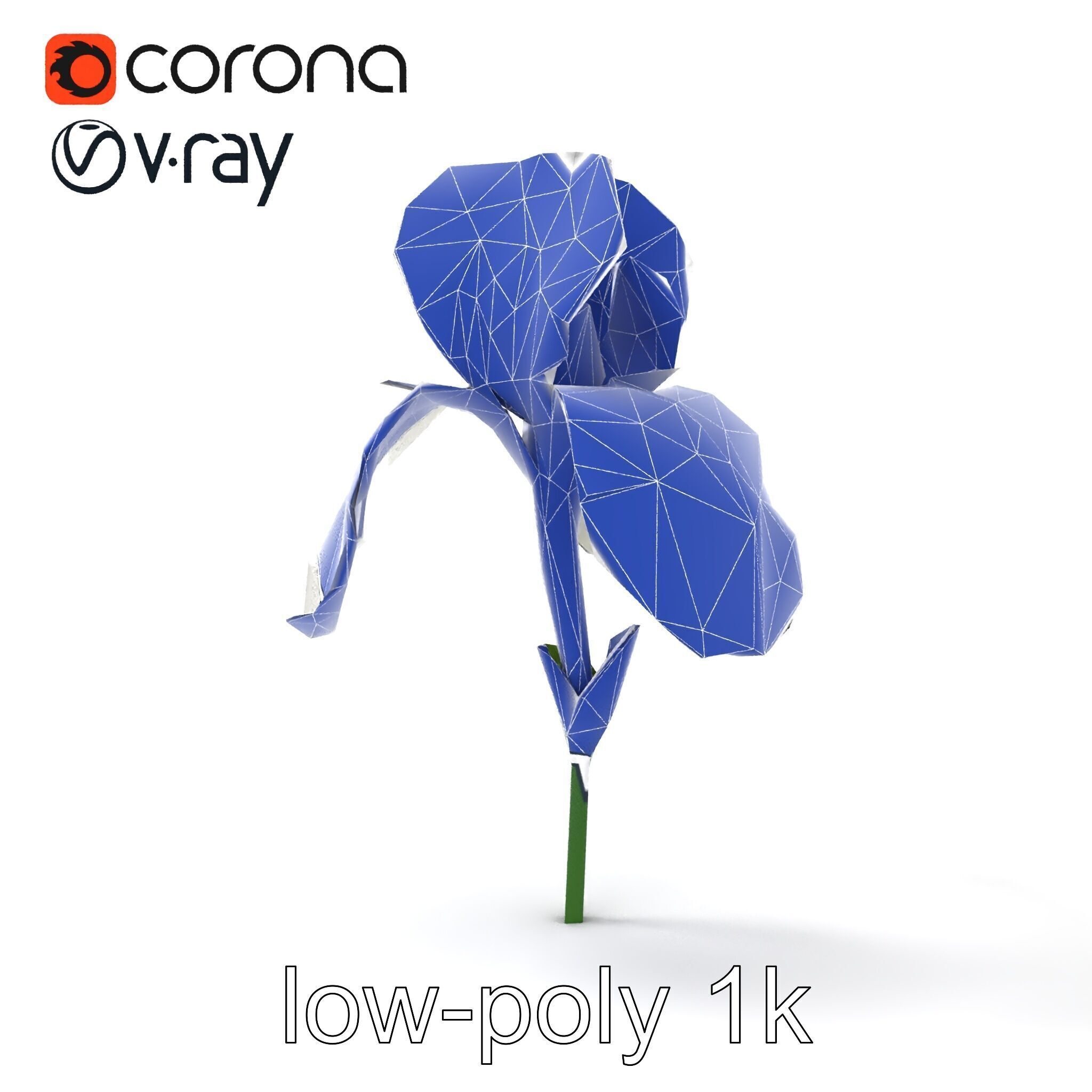 Iris White Flower Detailed Sculpture model pack Low-poly 3D model_22