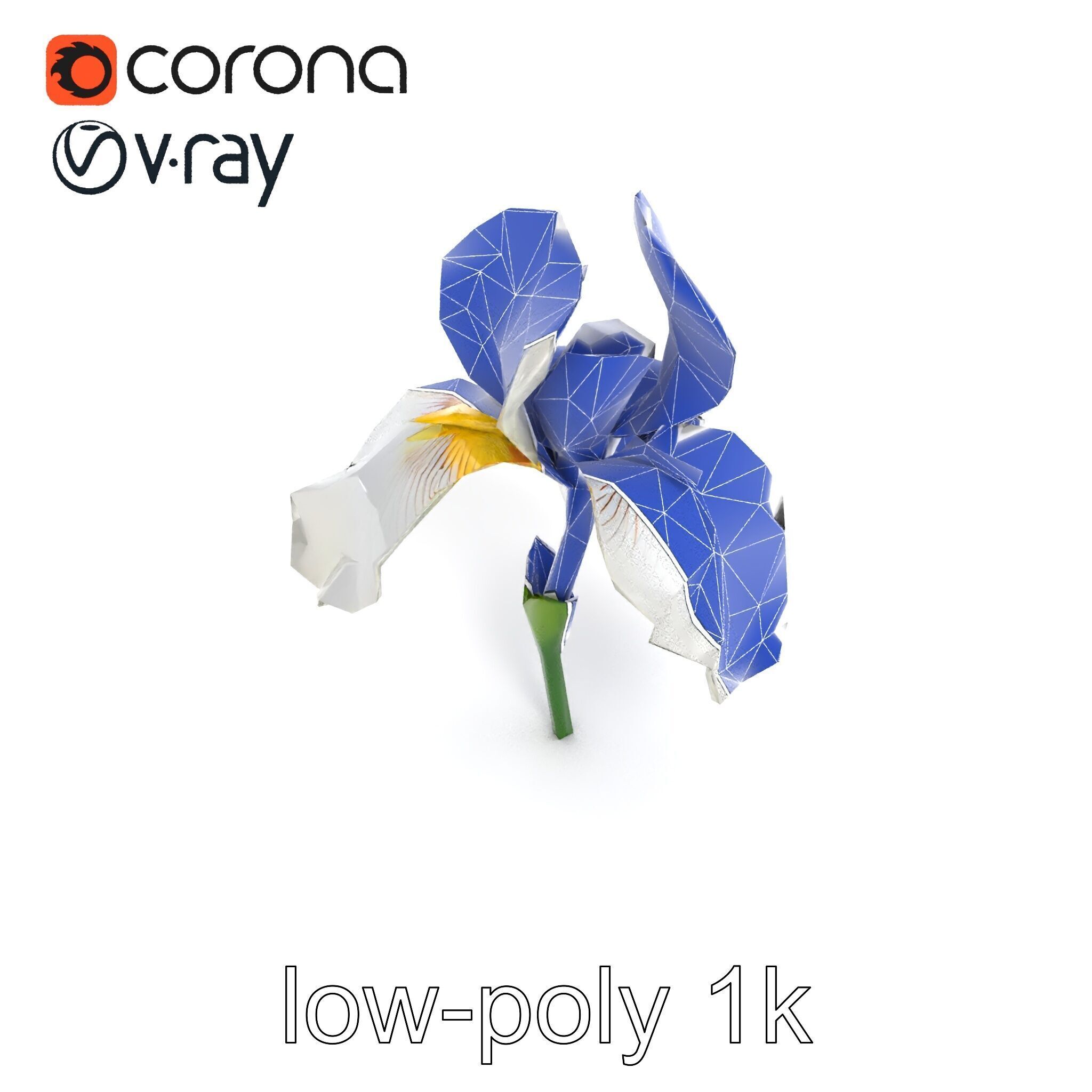 Iris White Flower Detailed Sculpture model pack Low-poly 3D model_18