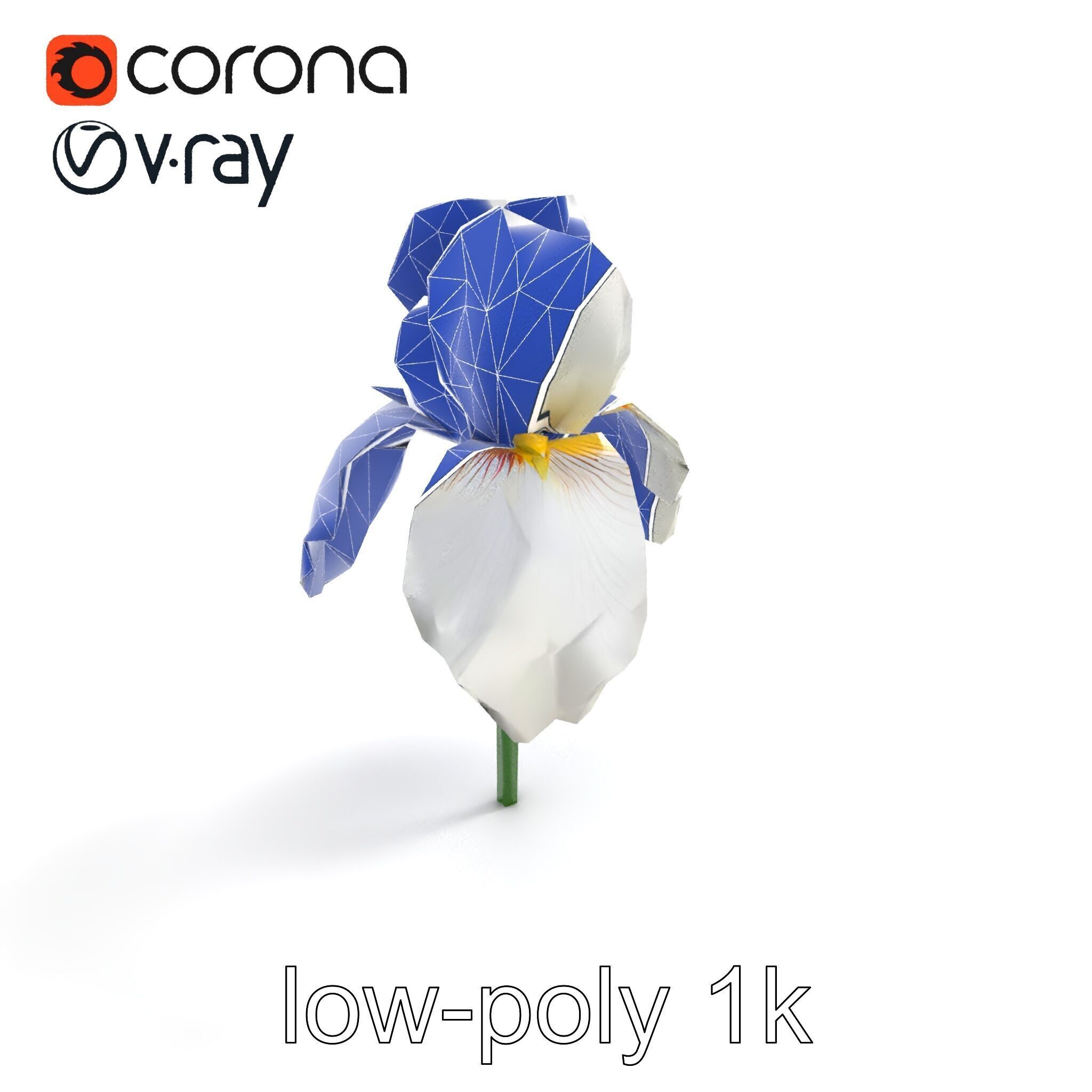 Iris White Flower Detailed Sculpture model pack Low-poly 3D model_27