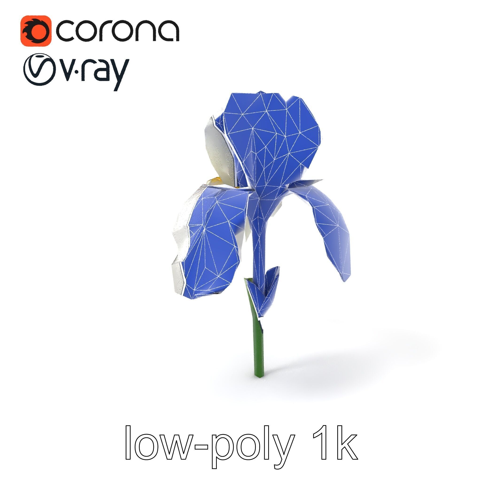 Iris White Flower Detailed Sculpture model pack Low-poly 3D model_6
