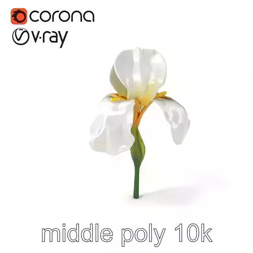 Iris White Flower Detailed Sculpture model pack Low-poly 3D model
