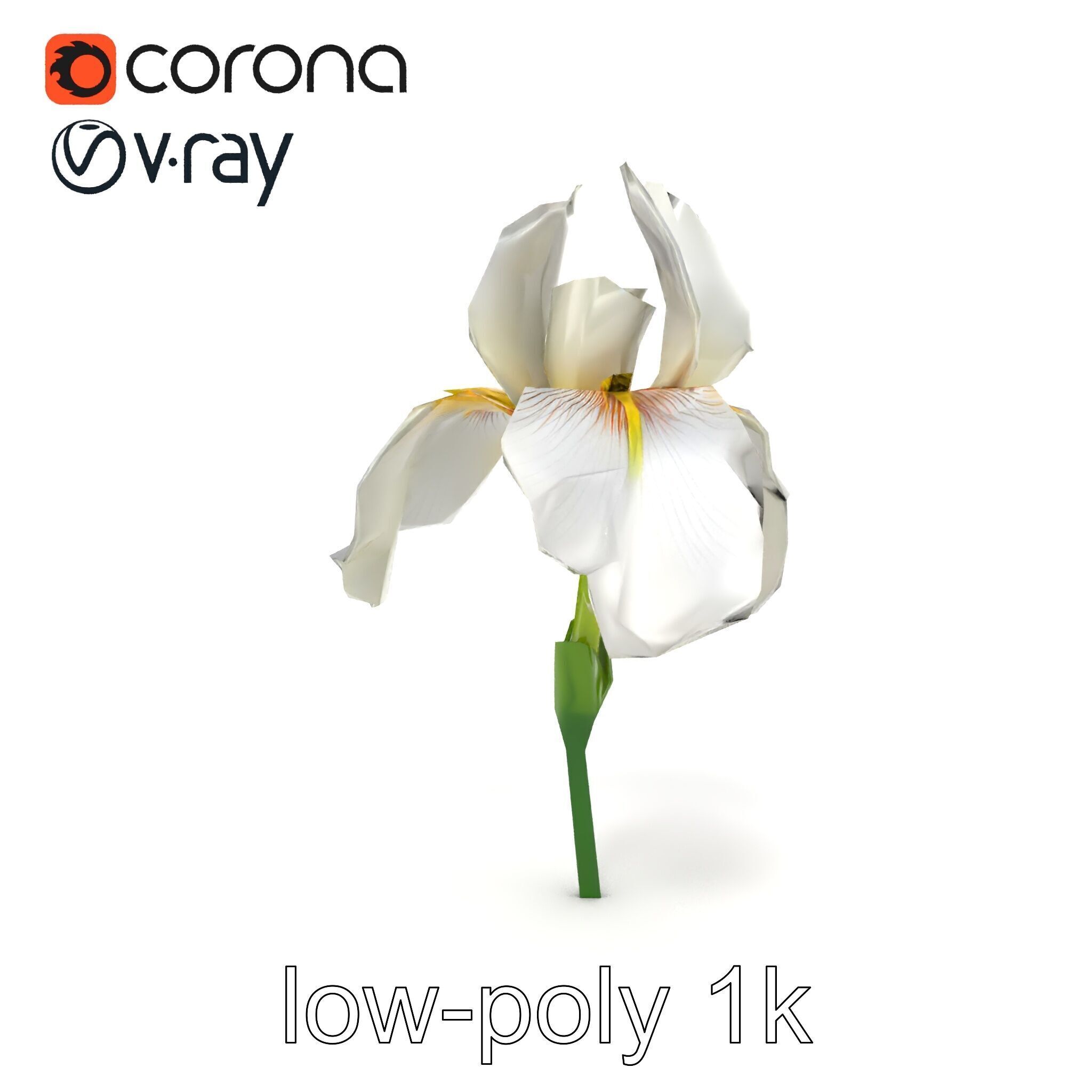 Iris White Flower Detailed Sculpture model pack Low-poly 3D model_29