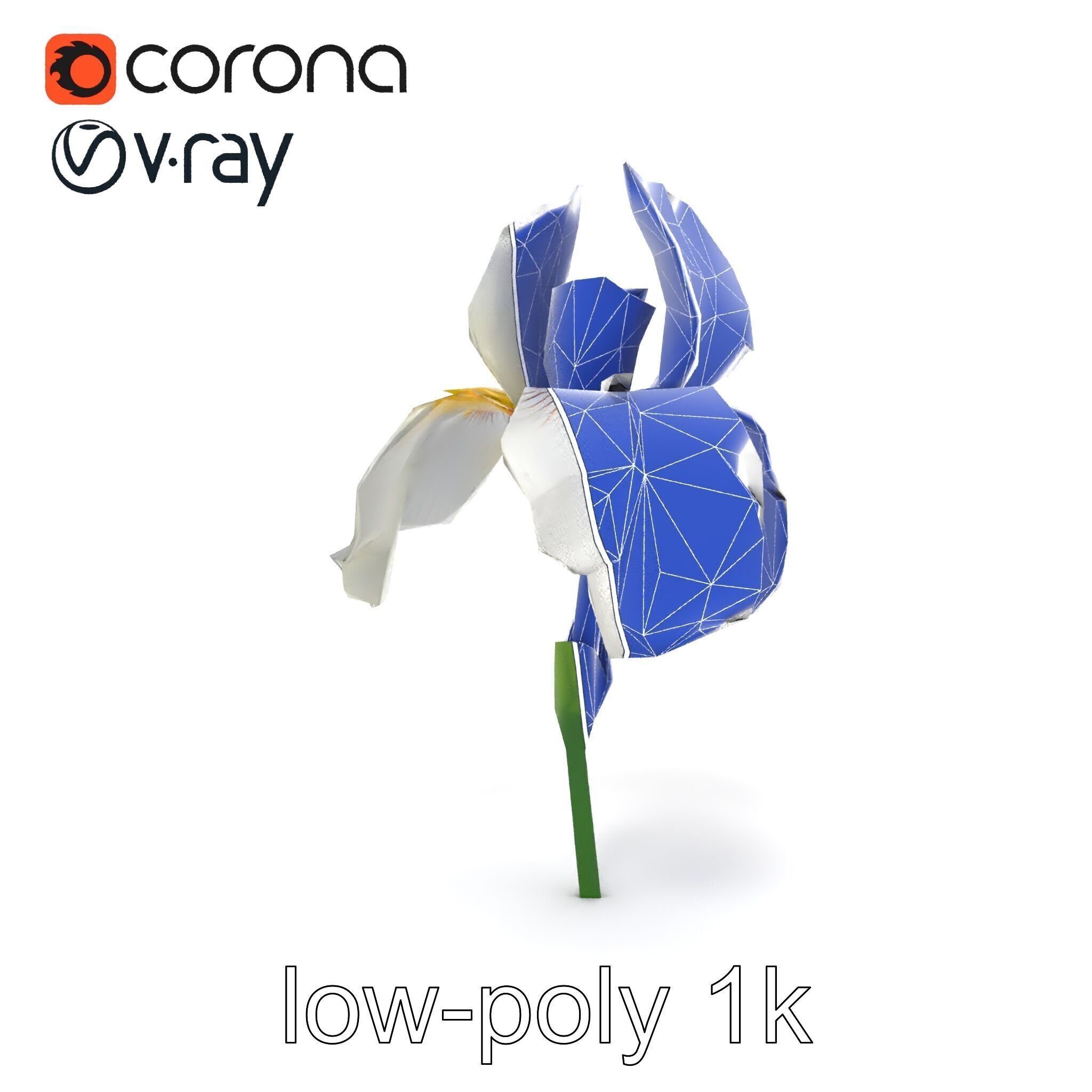 Iris White Flower Detailed Sculpture model pack Low-poly 3D model_16