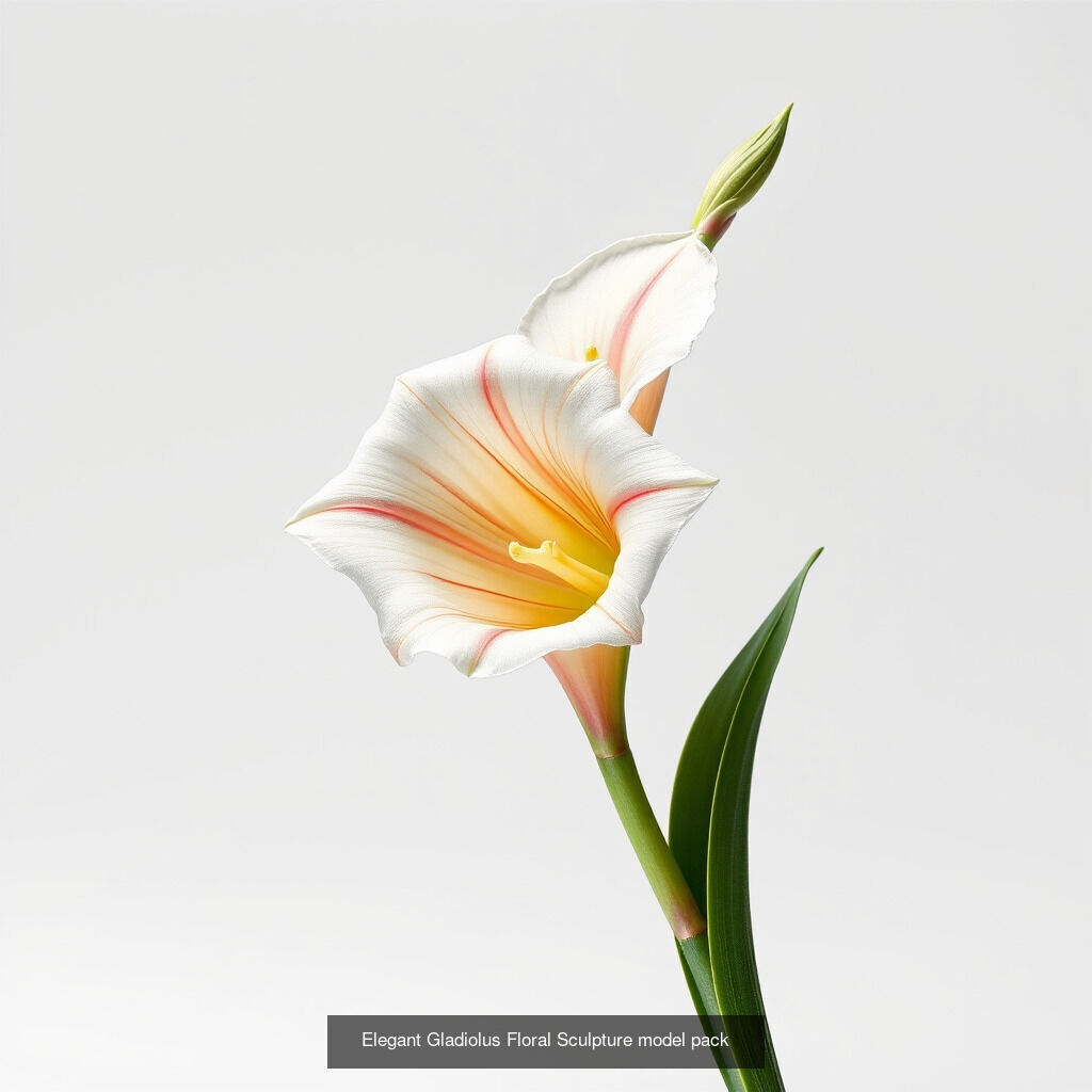 Gladiolus Blooms Collection _14